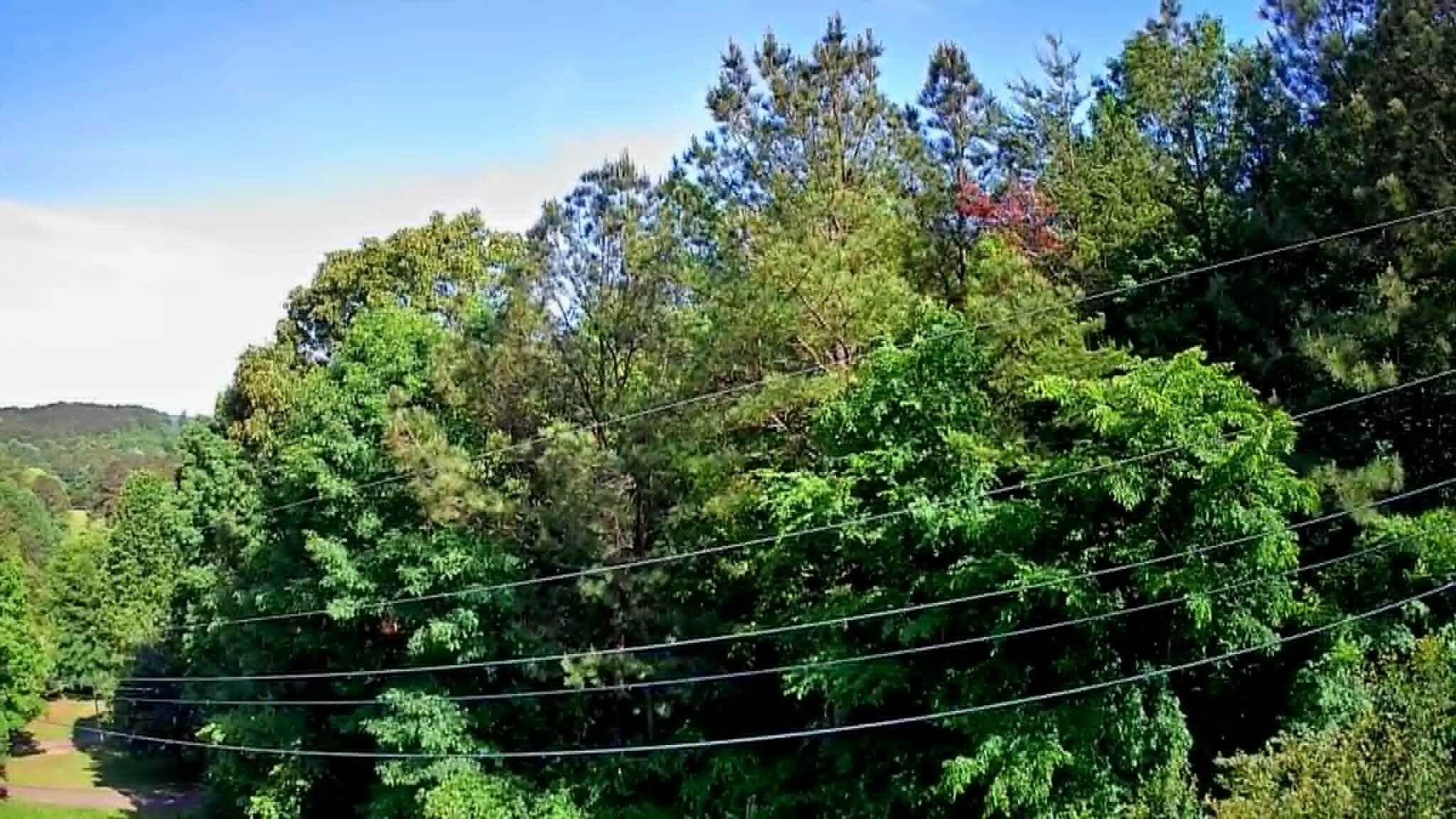 302 Timberland Trail