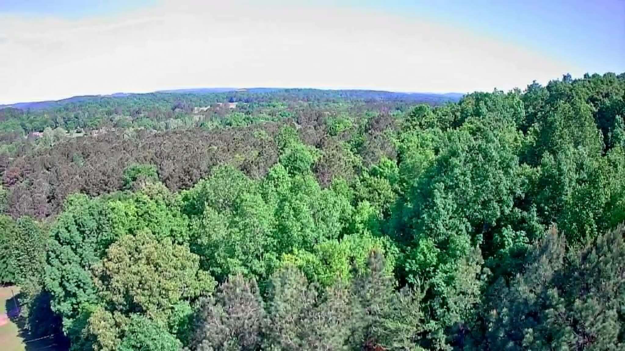 302 Timberland Trail