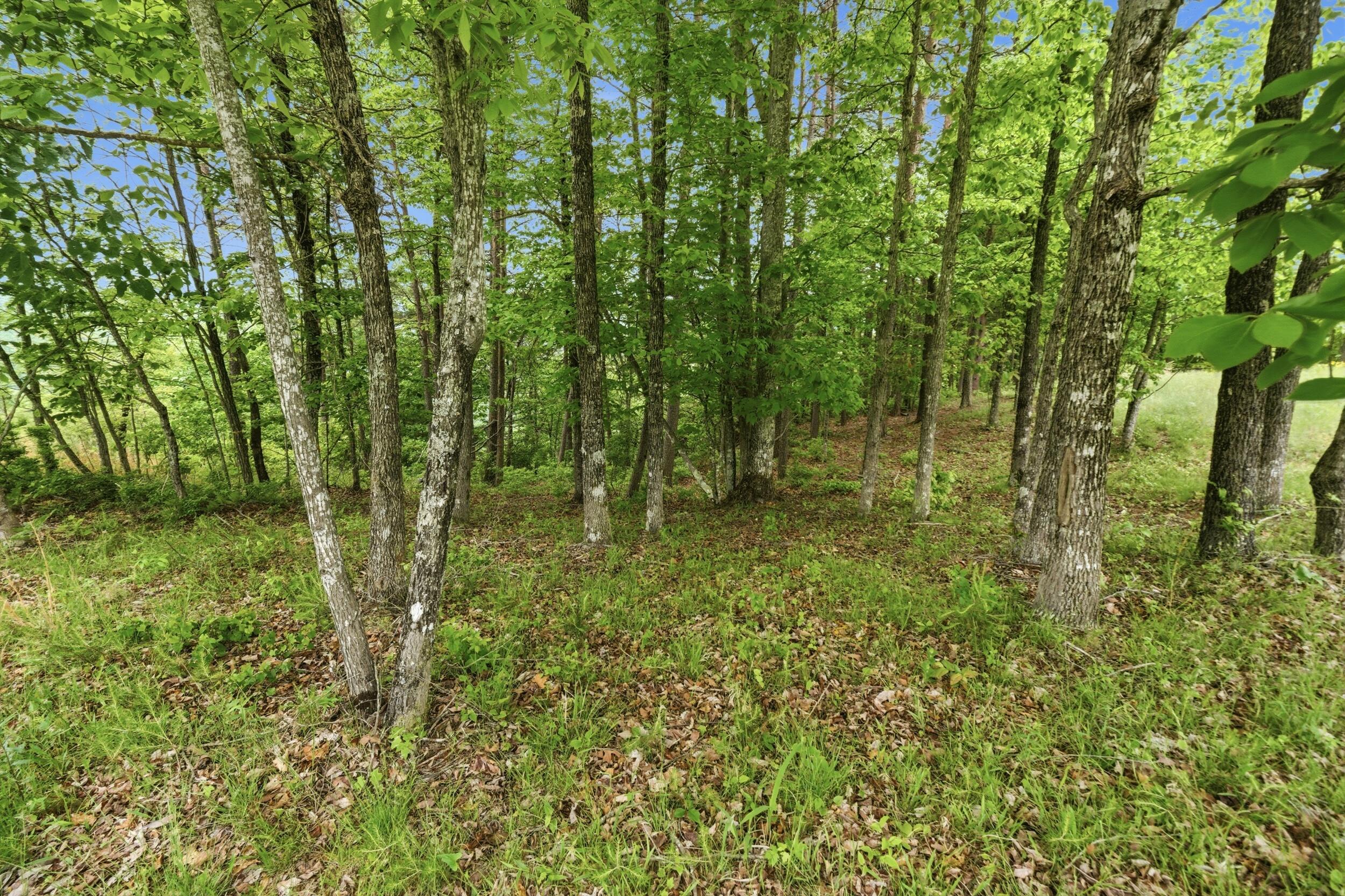 2750 B Browns Trace Road