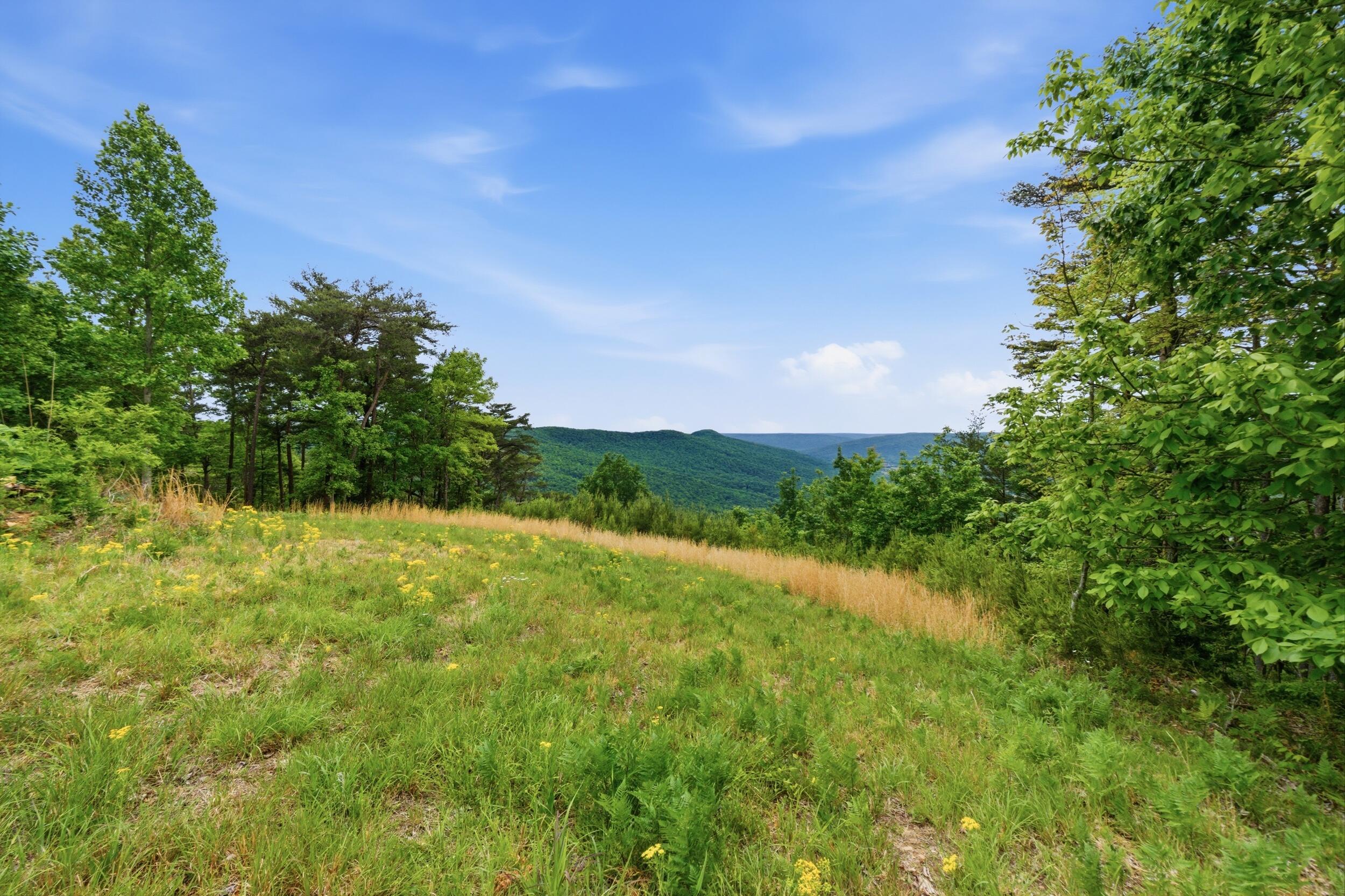 2750 B Browns Trace Road
