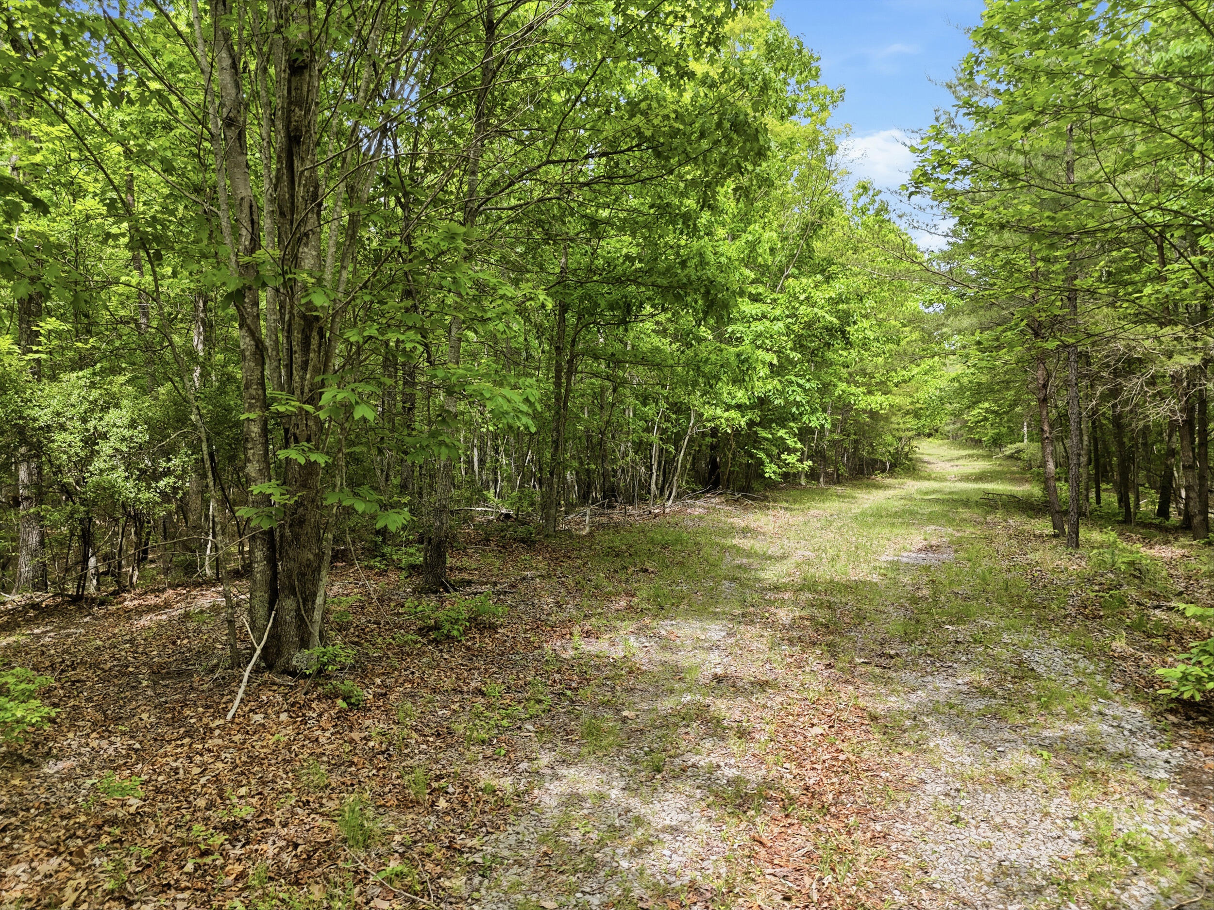 2750 B Browns Trace Road