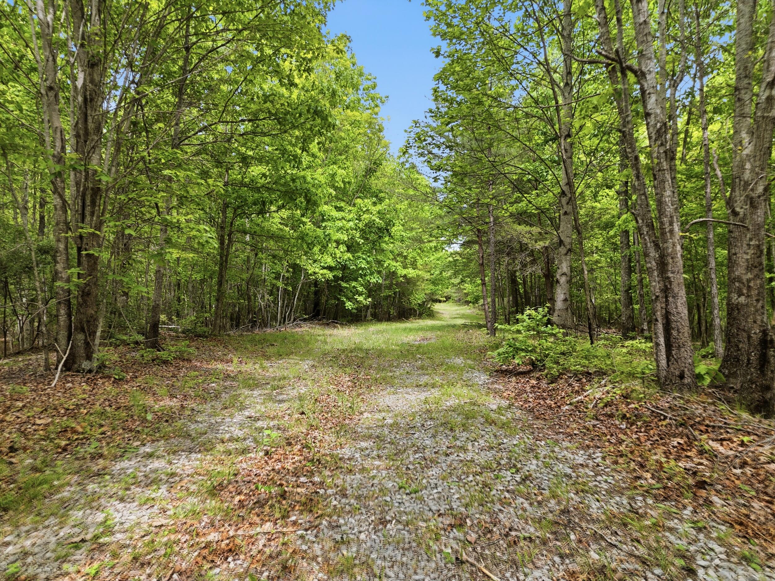 2750 B Browns Trace Road