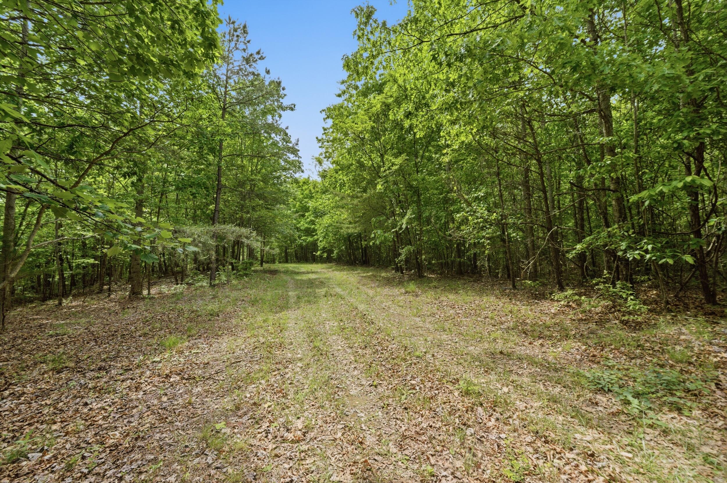 2750 B Browns Trace Road