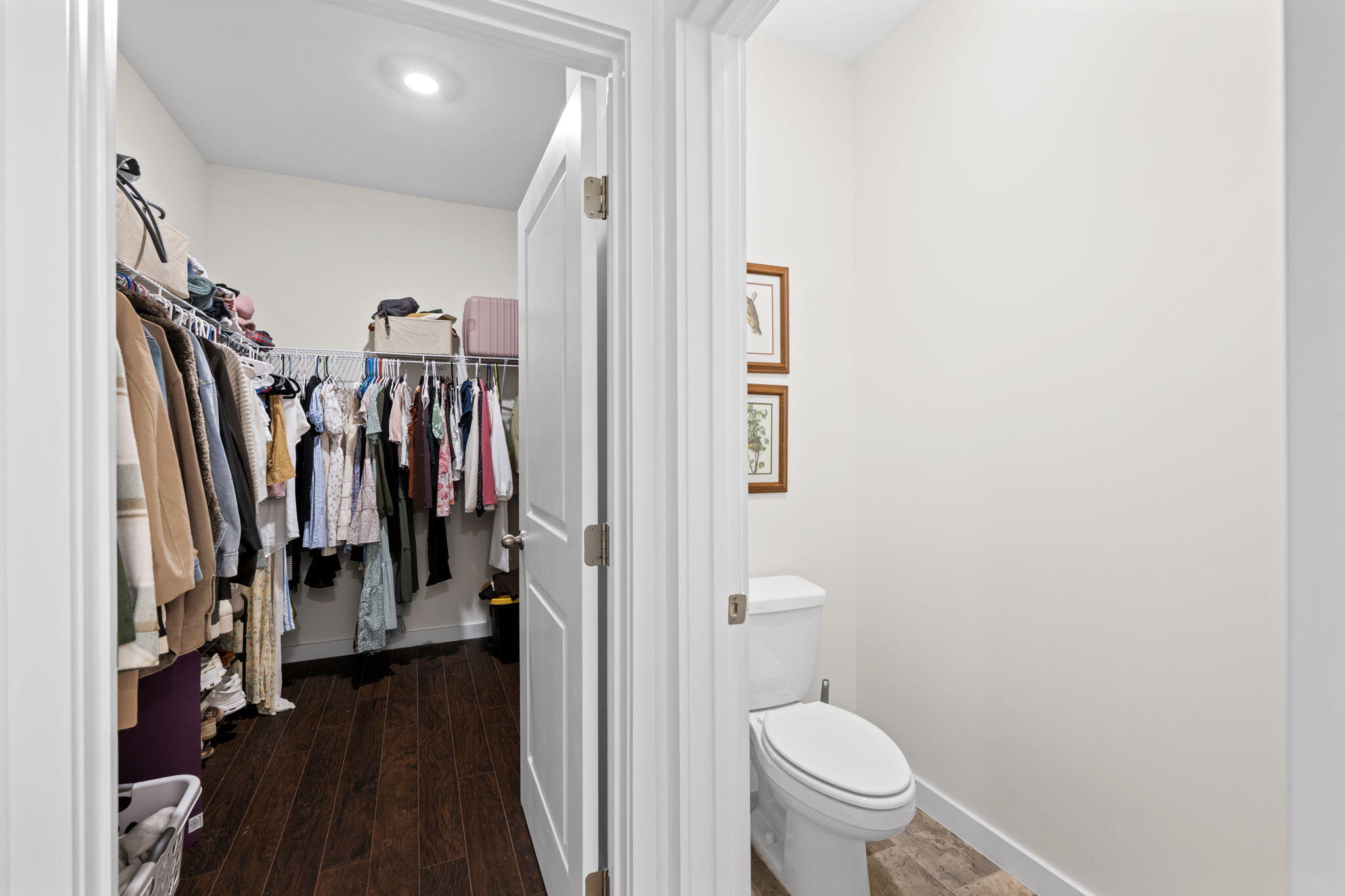 8534 Dewberry Drive