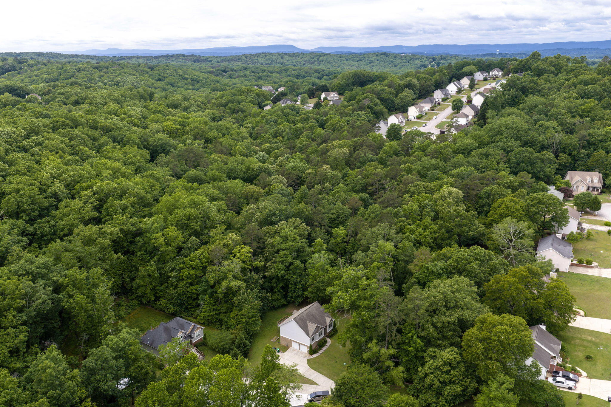 6115 Caleb Place