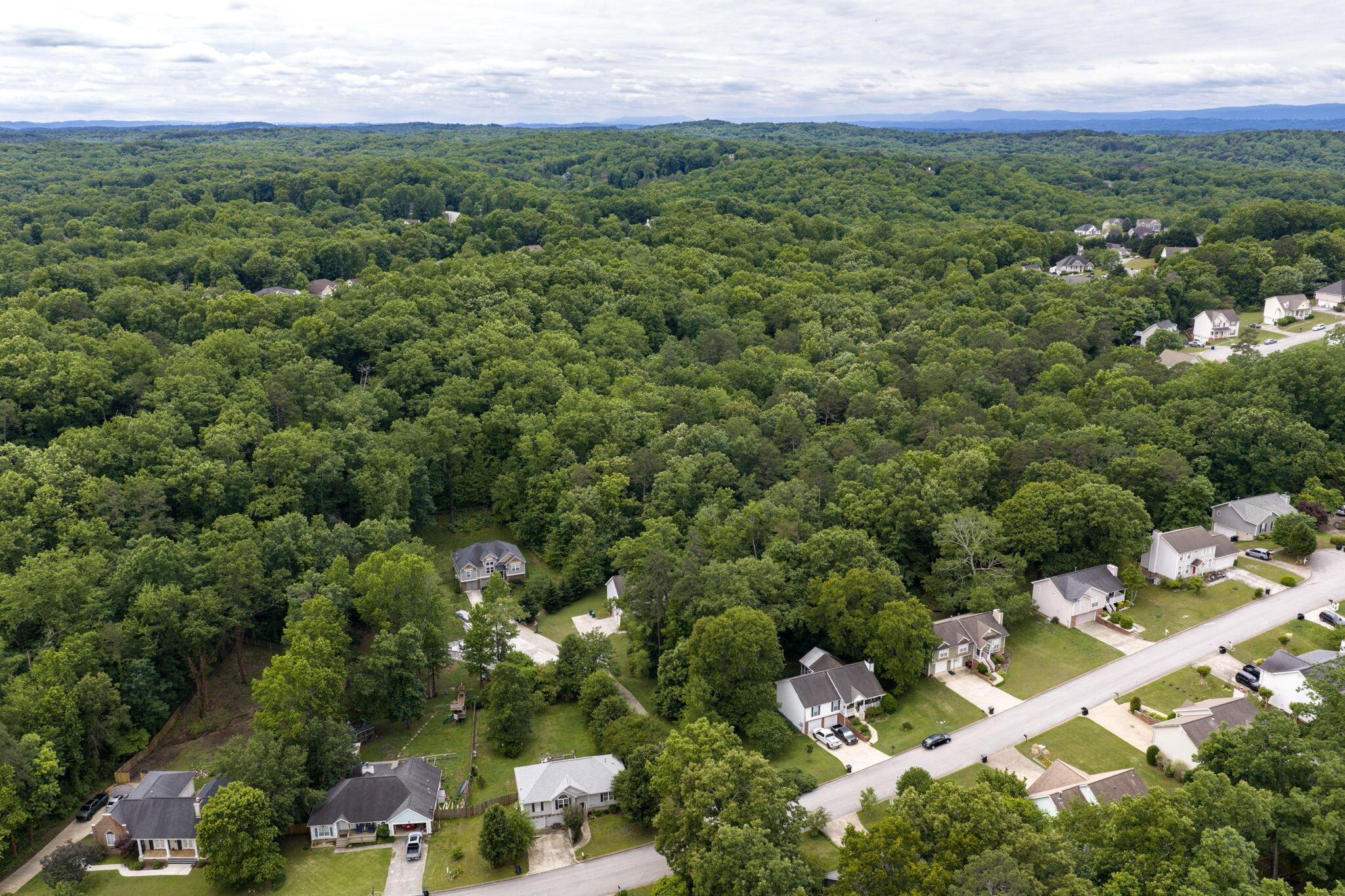 6115 Caleb Place