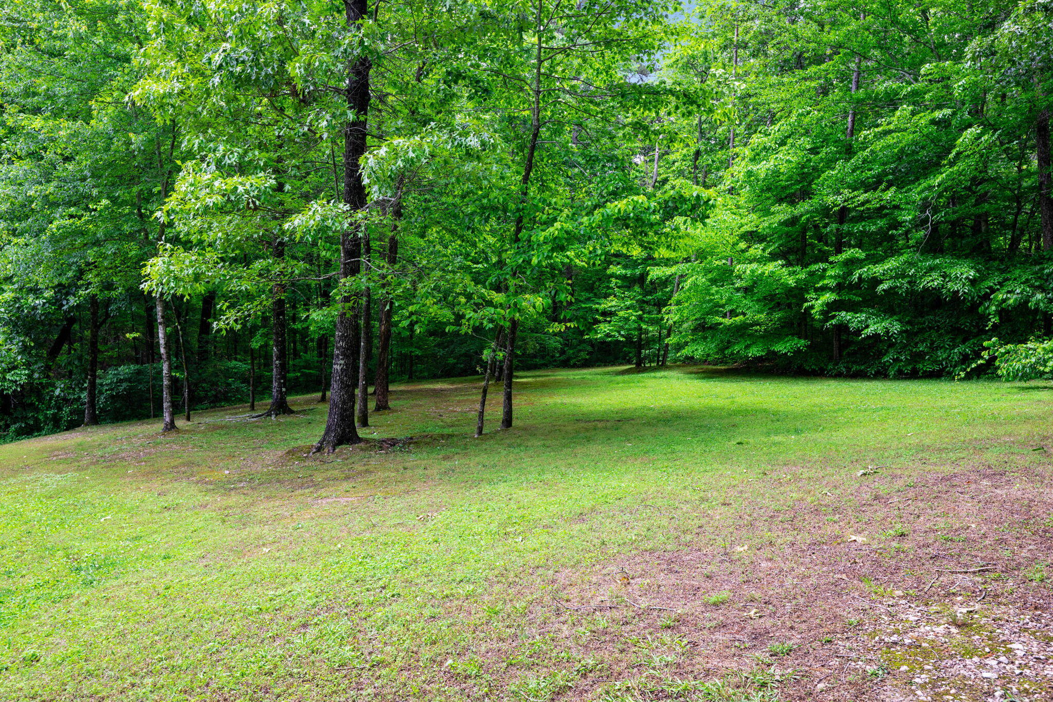 6115 Caleb Place