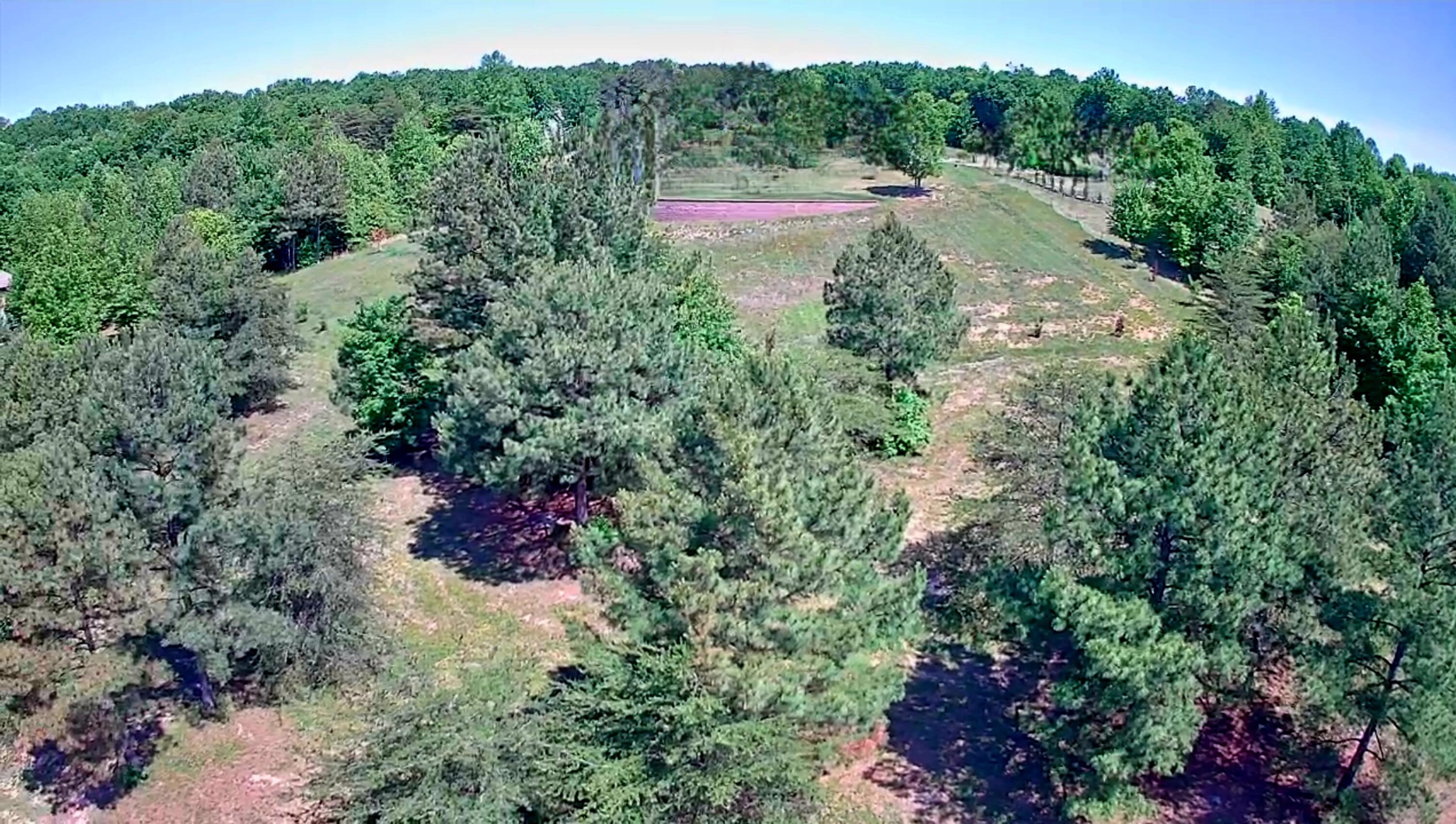 1899 River Bluffs Drive