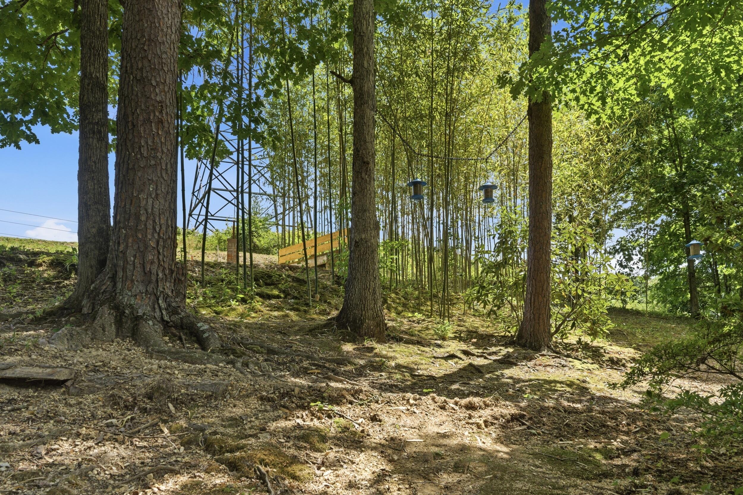 1210 Lovelady Lewis Road
