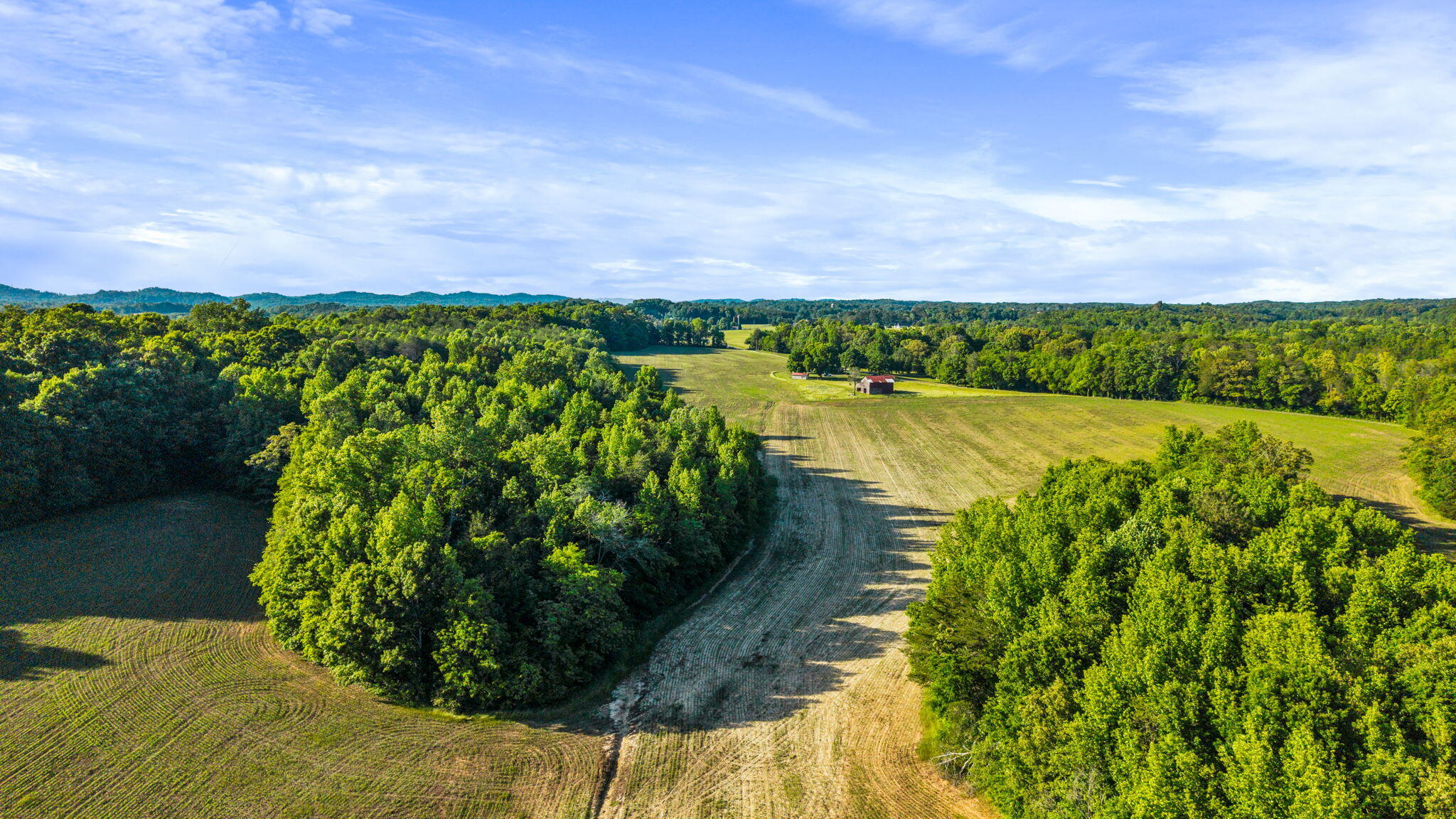 444 County Road 782