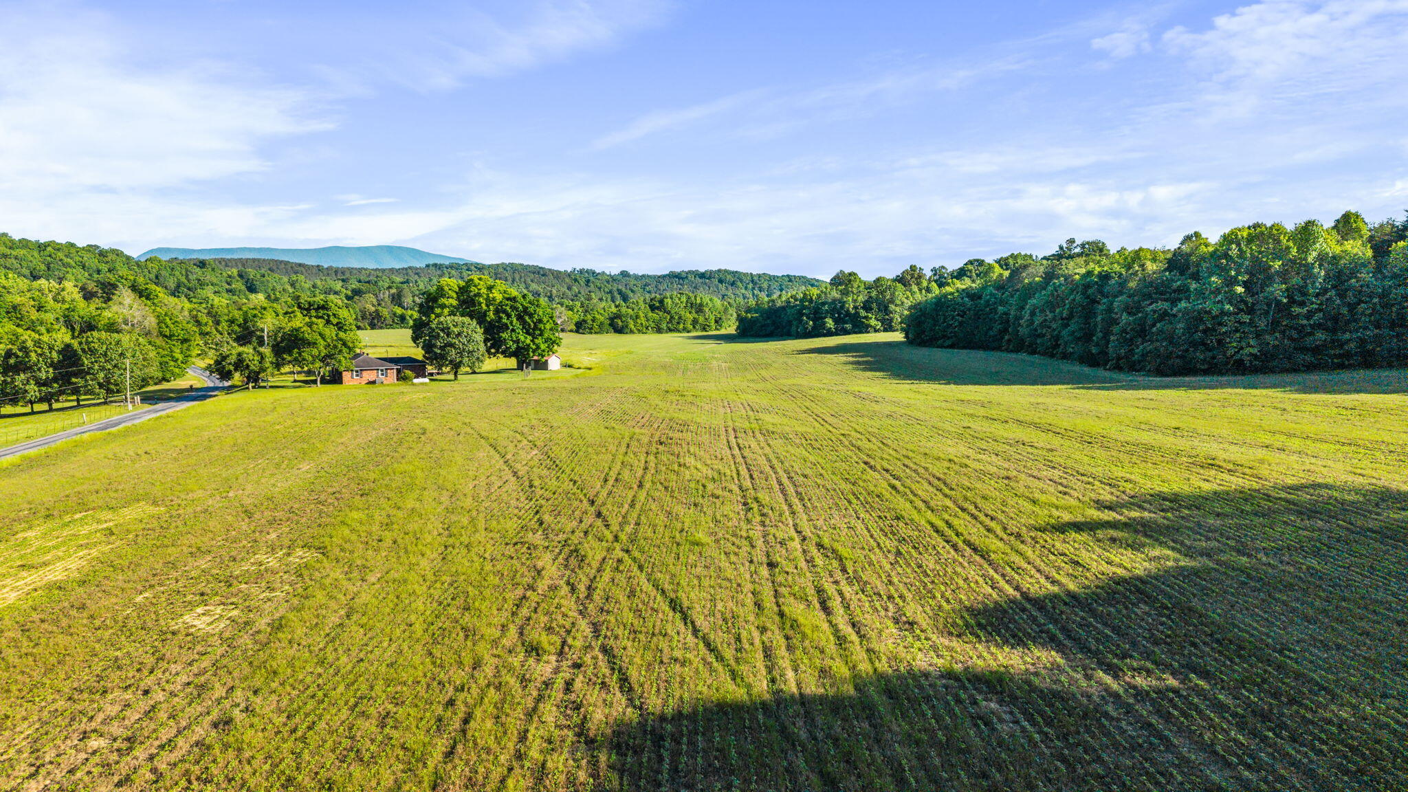 444 County Road 782