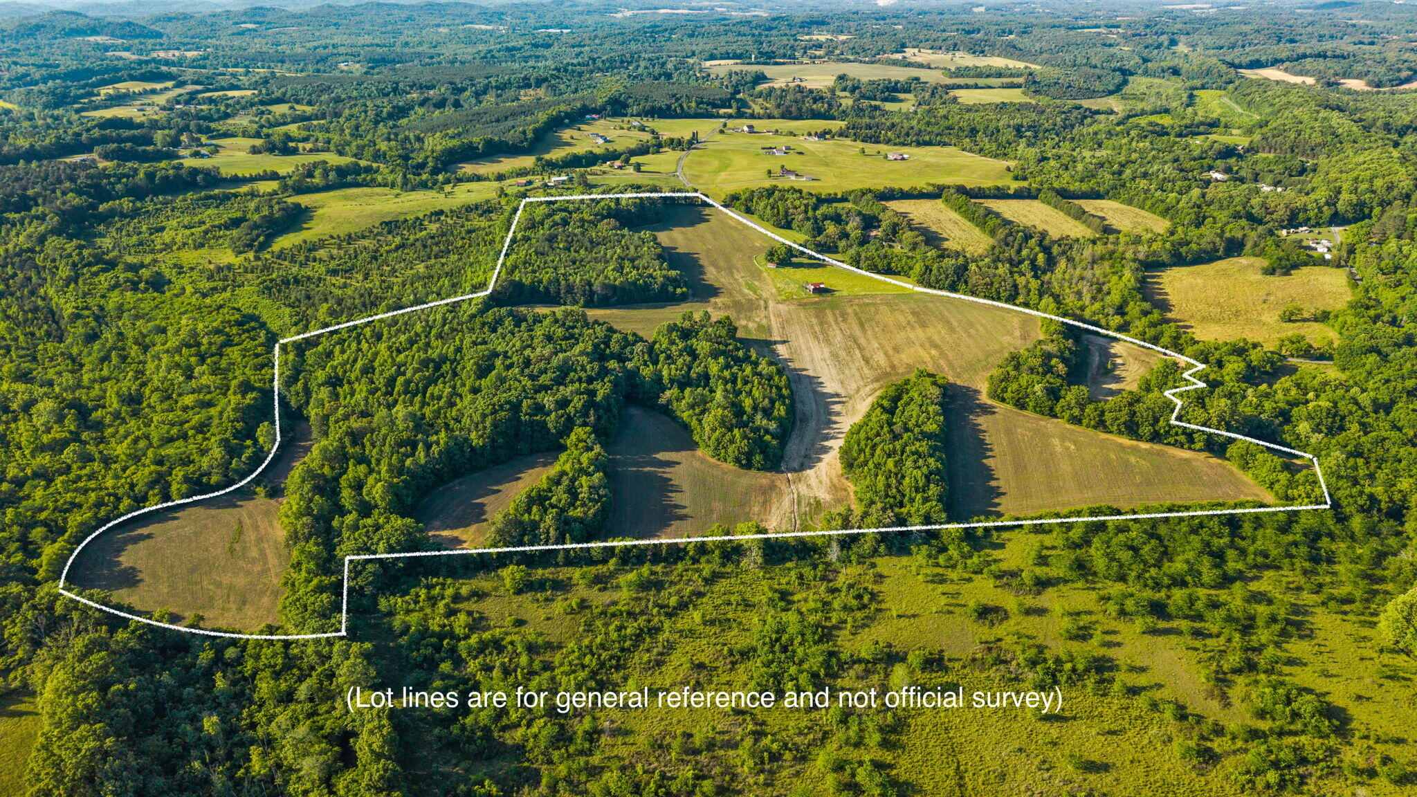 444 County Road 782