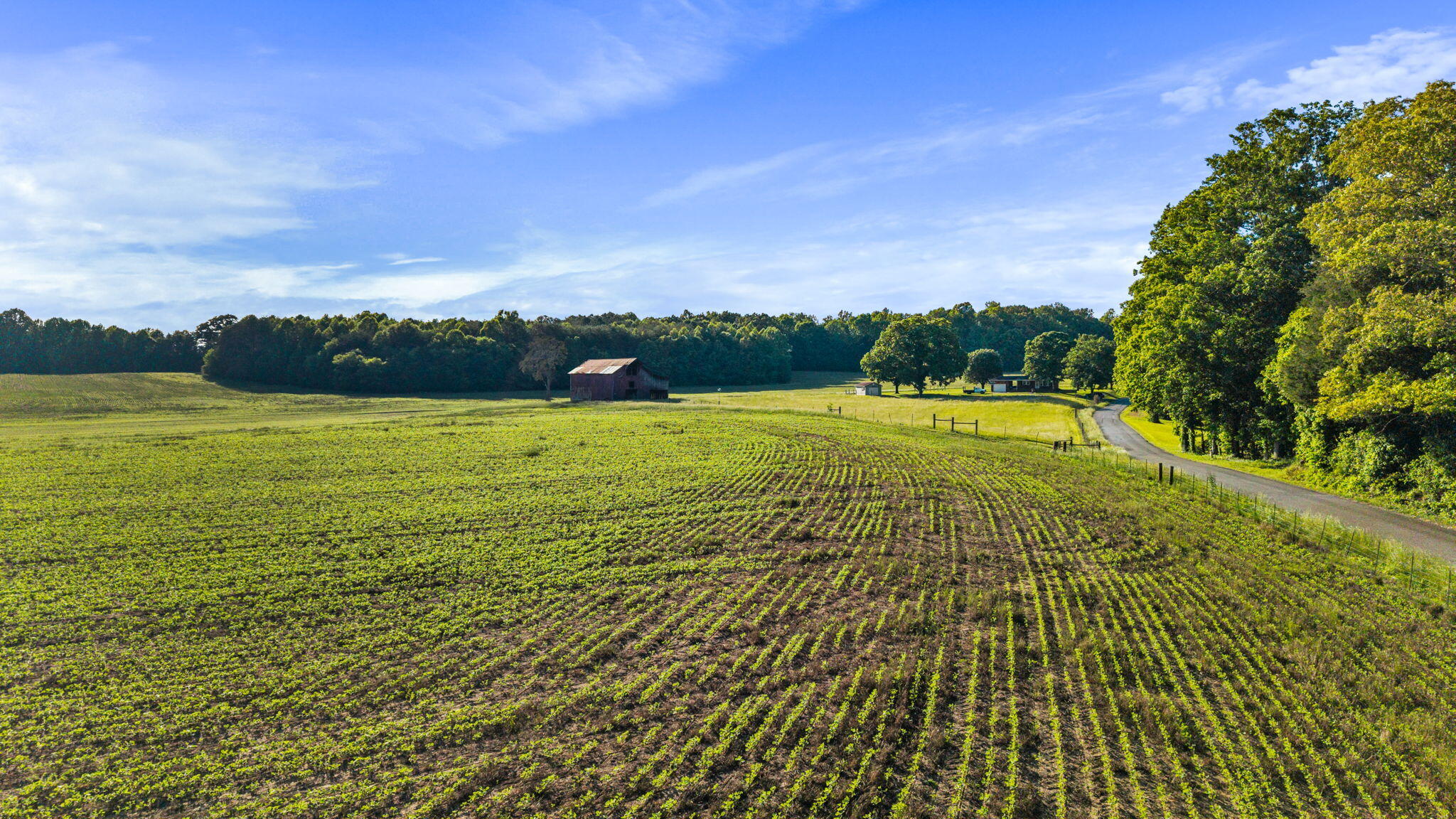 444 County Road 782