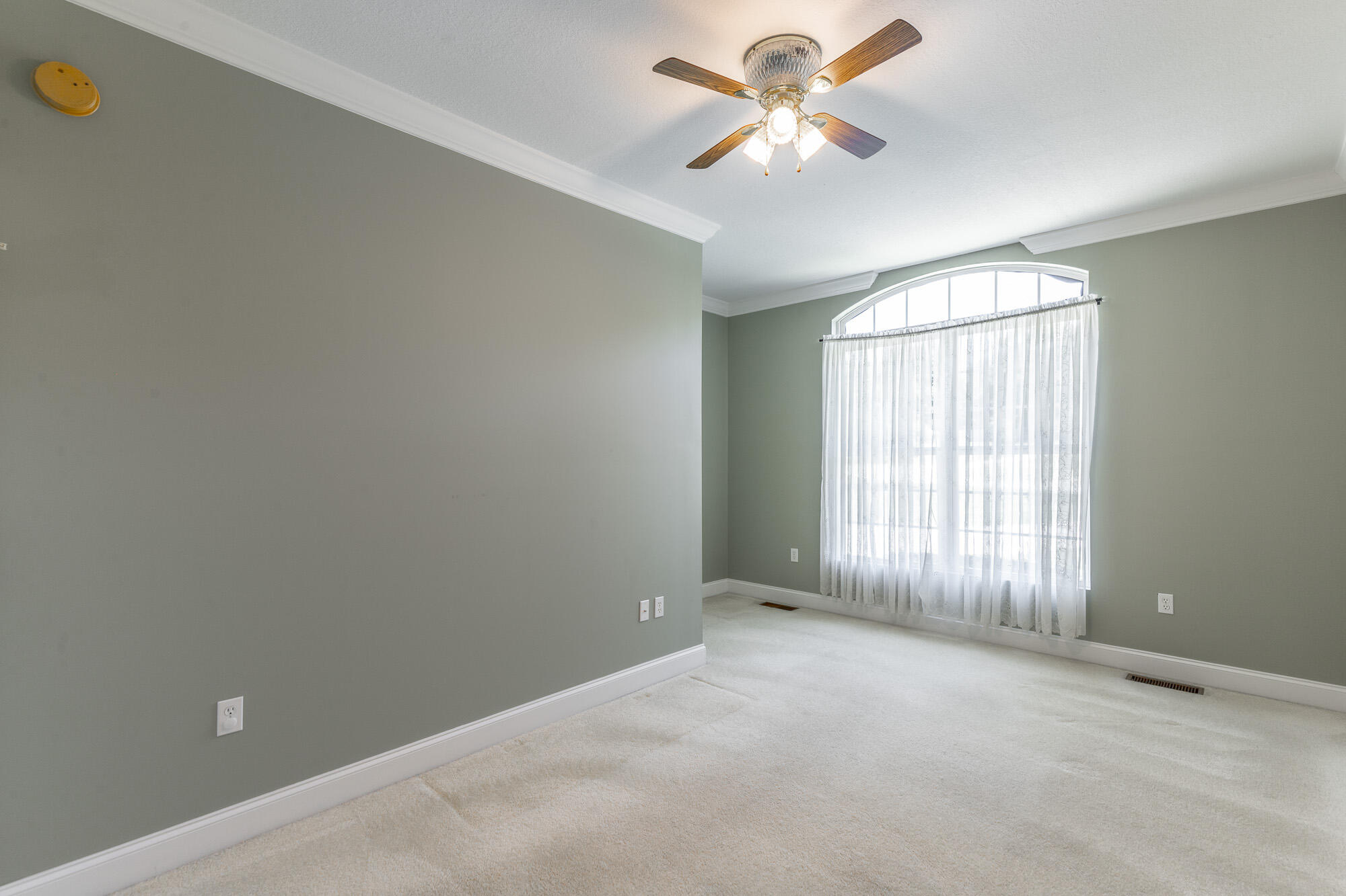 8543 Cavanaugh Lane