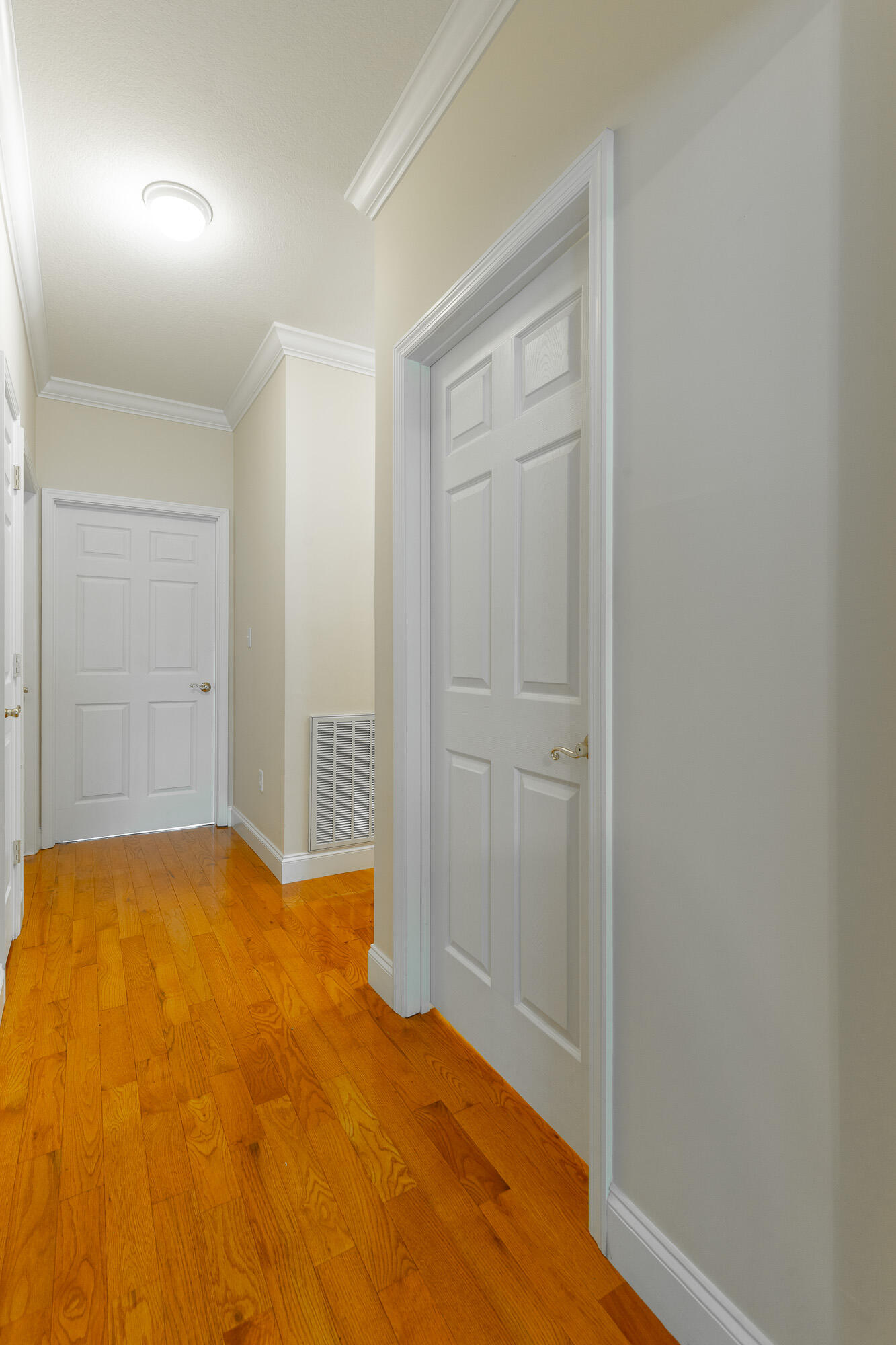 8543 Cavanaugh Lane