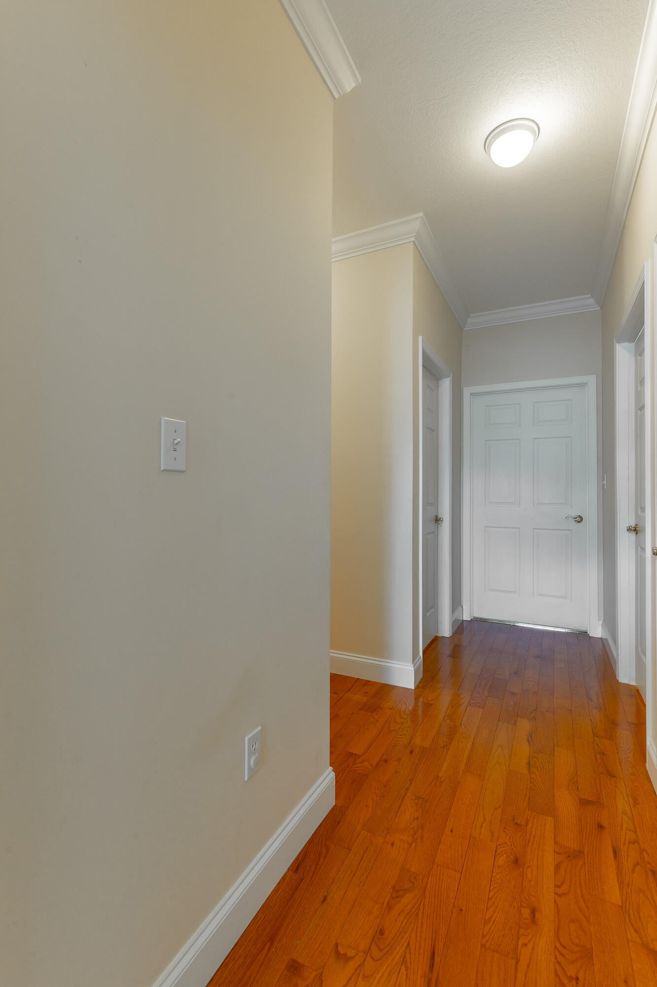 8543 Cavanaugh Lane