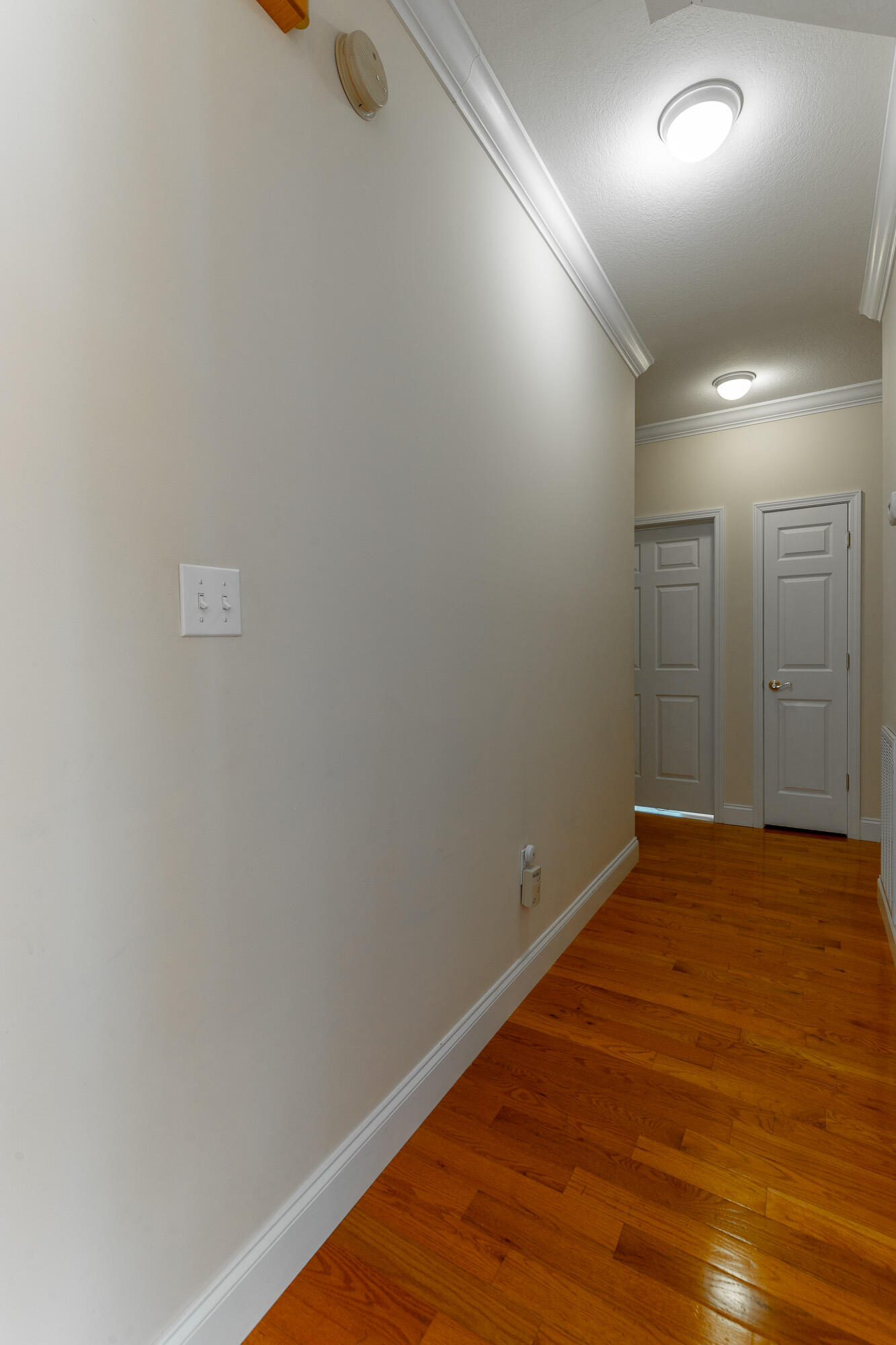 8543 Cavanaugh Lane