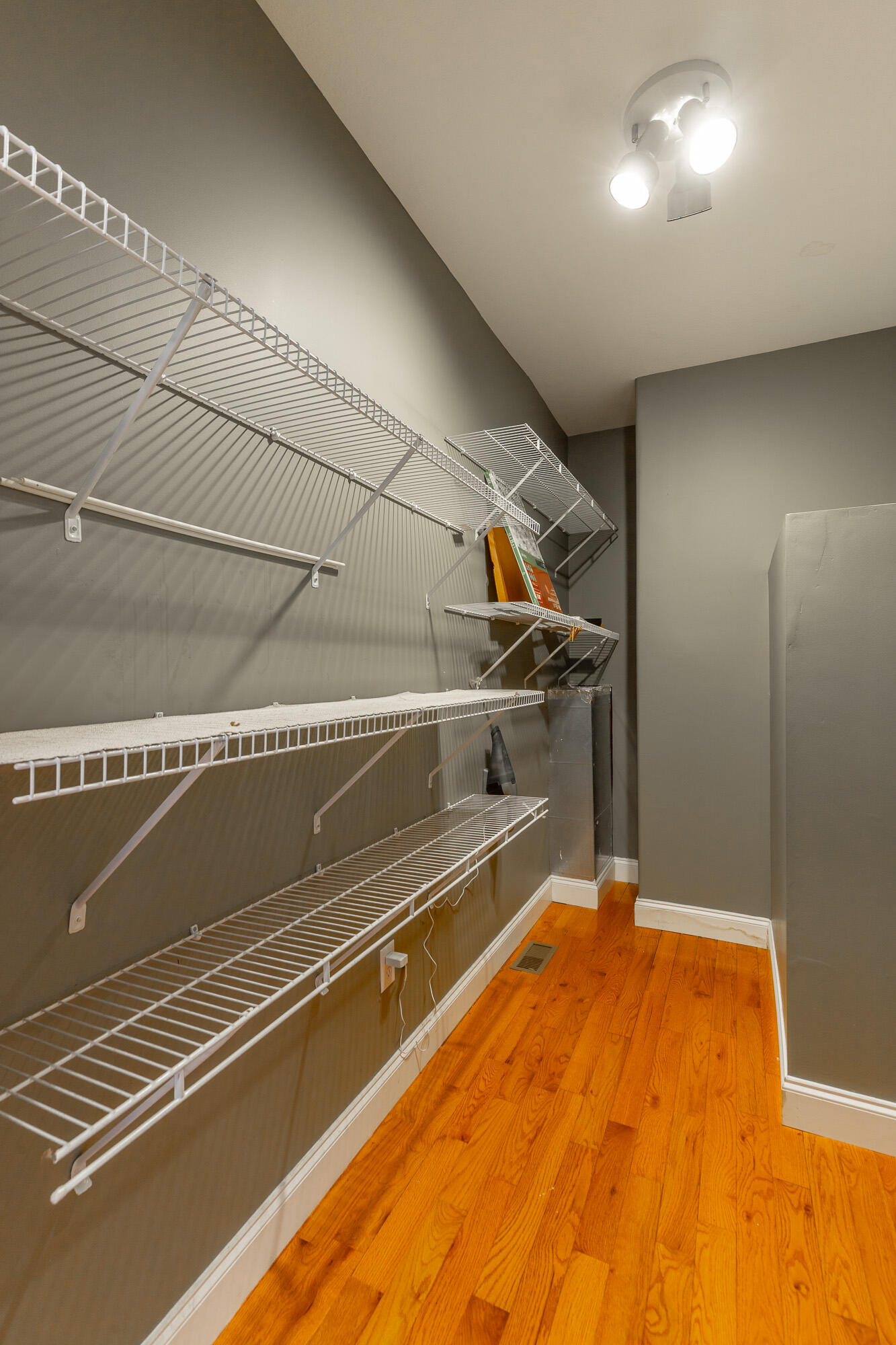 8543 Cavanaugh Lane