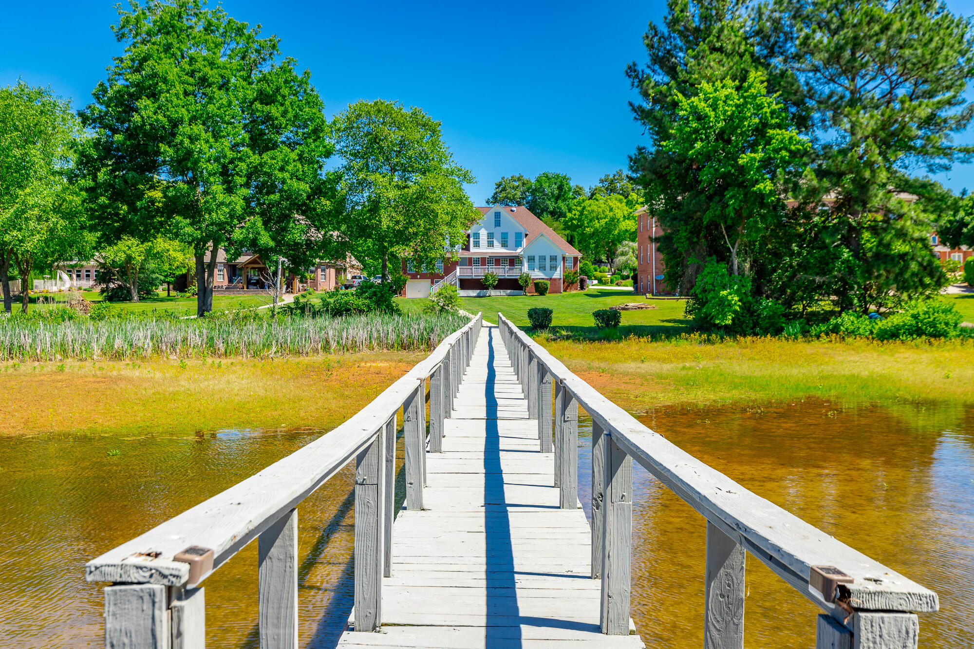 8543 Cavanaugh Lane
