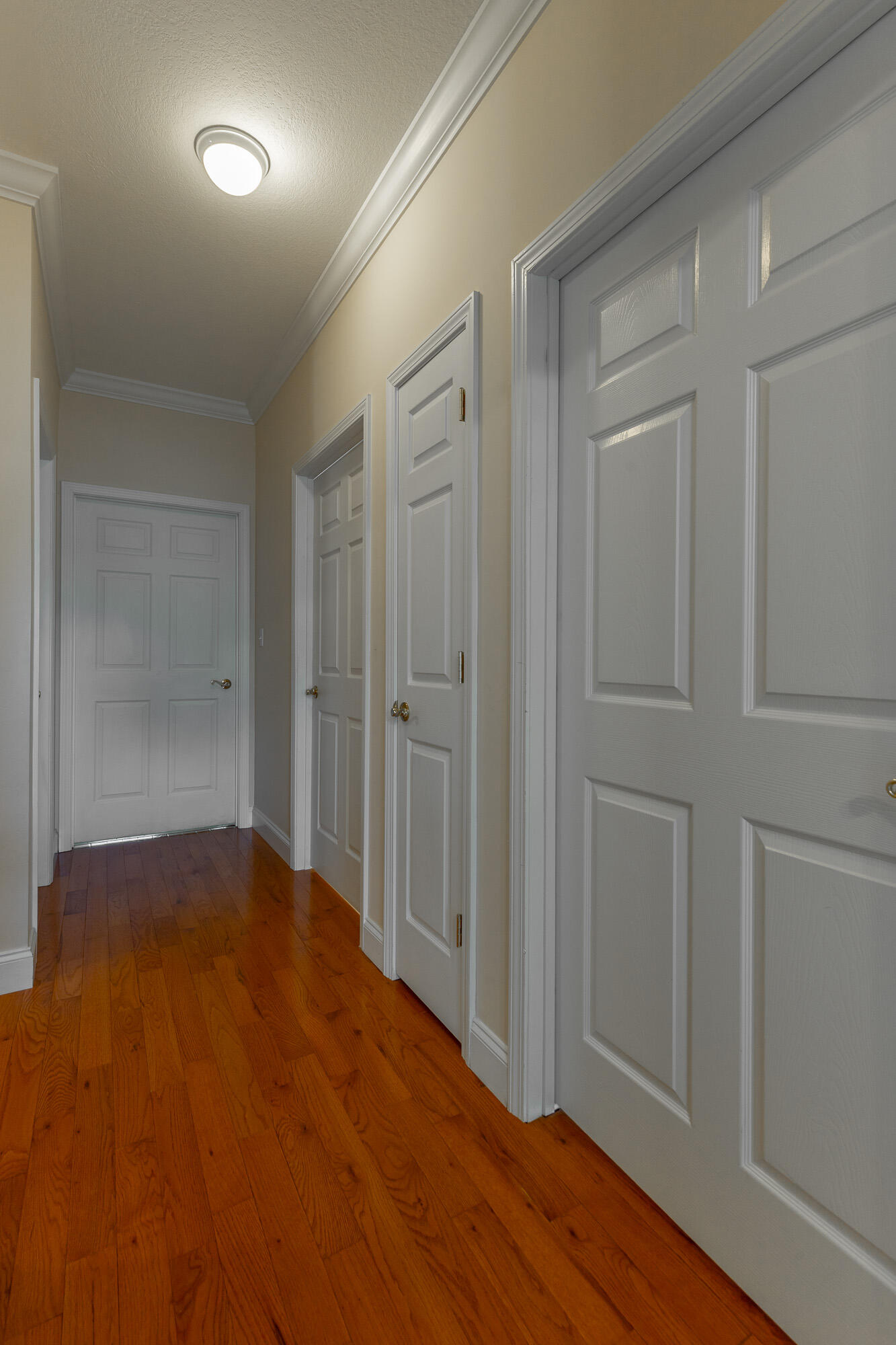 8543 Cavanaugh Lane