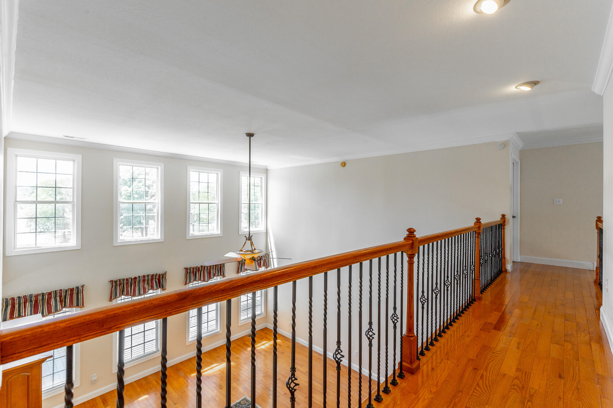 8543 Cavanaugh Lane