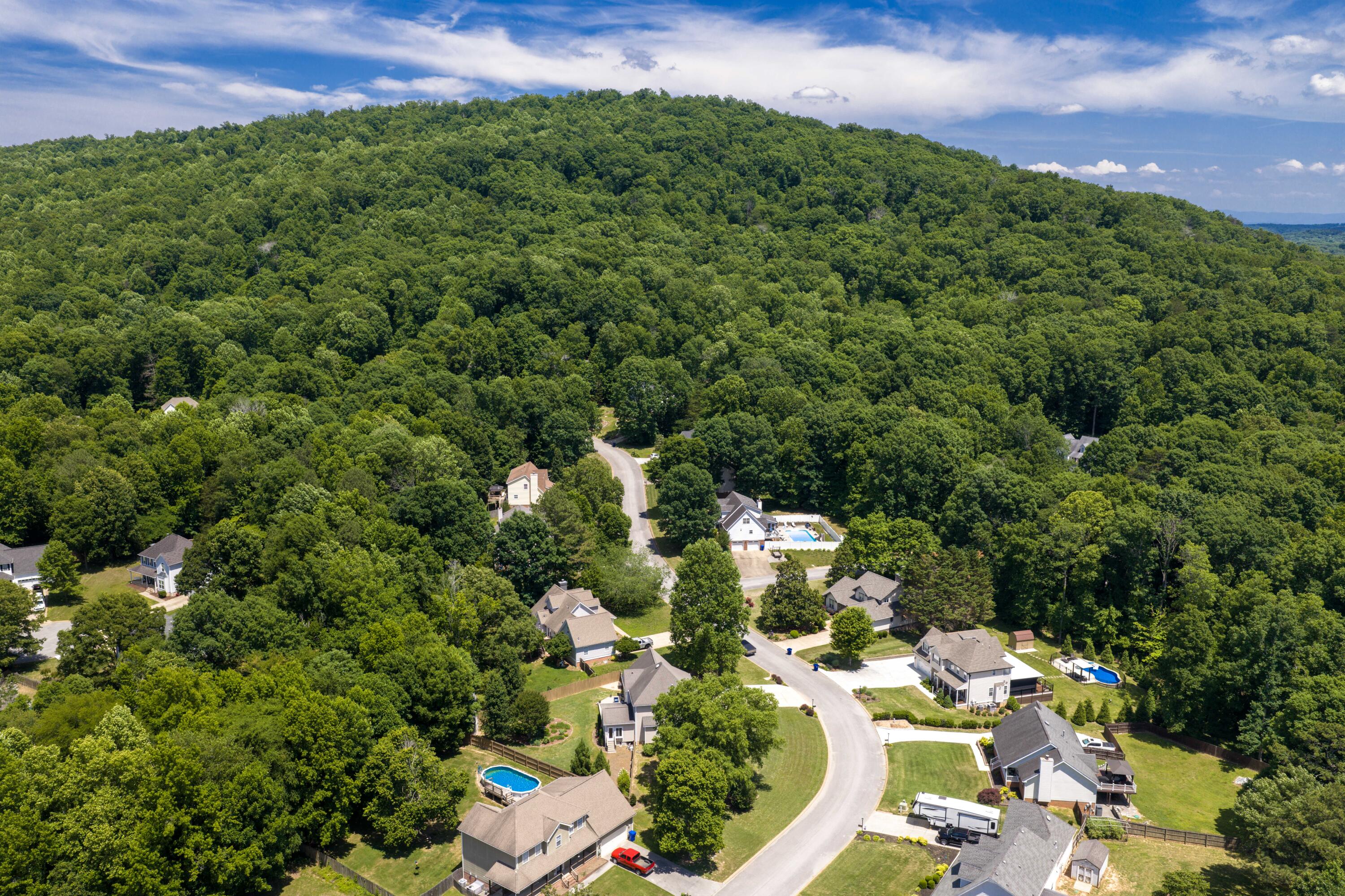 8911 Grey Mountain Drive