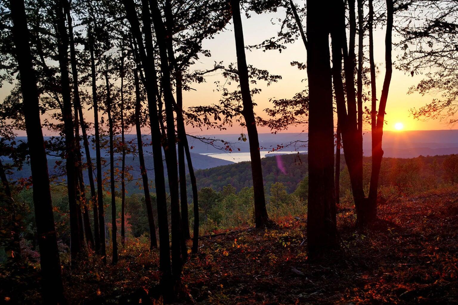 Lot 1023 Buck Crossing Dr Drive, Lot 1023