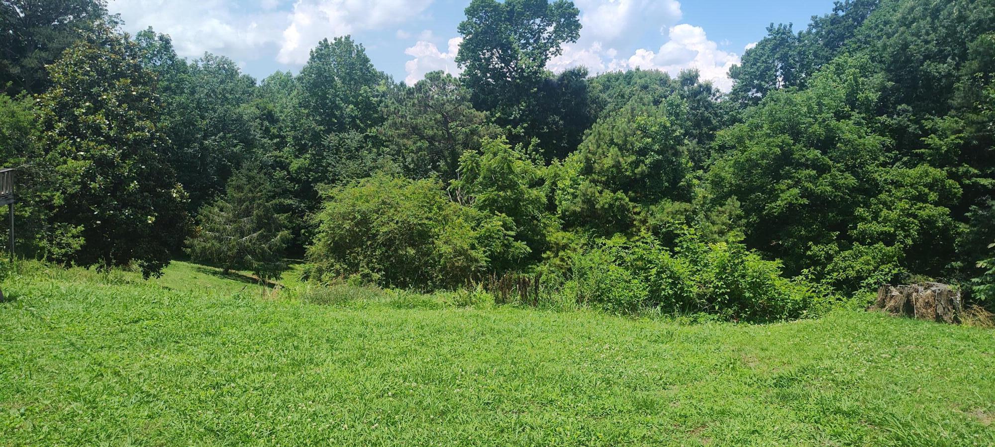 508 Pineywood Drive