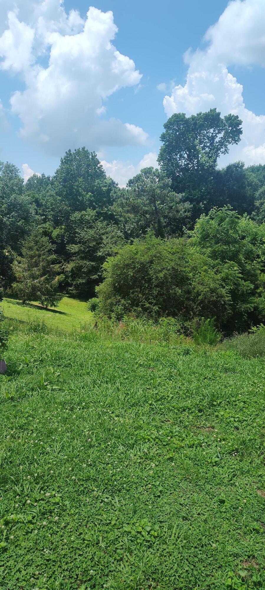508 Pineywood Drive