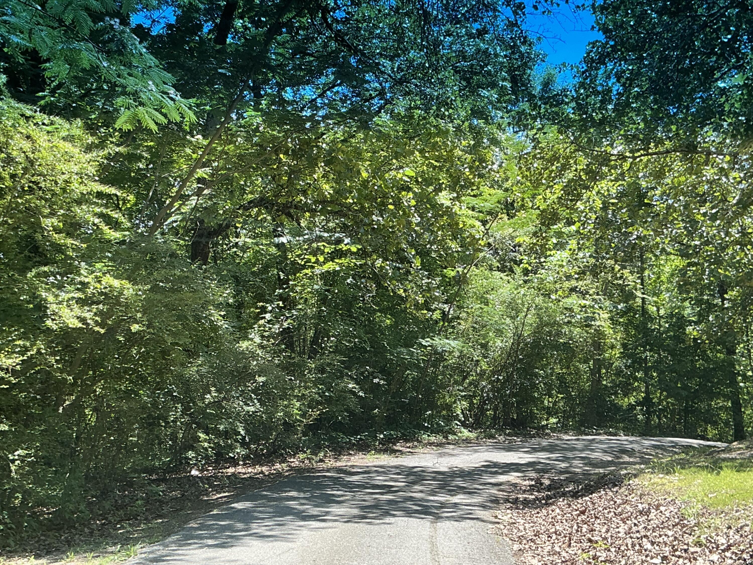 0000 Winding Lane