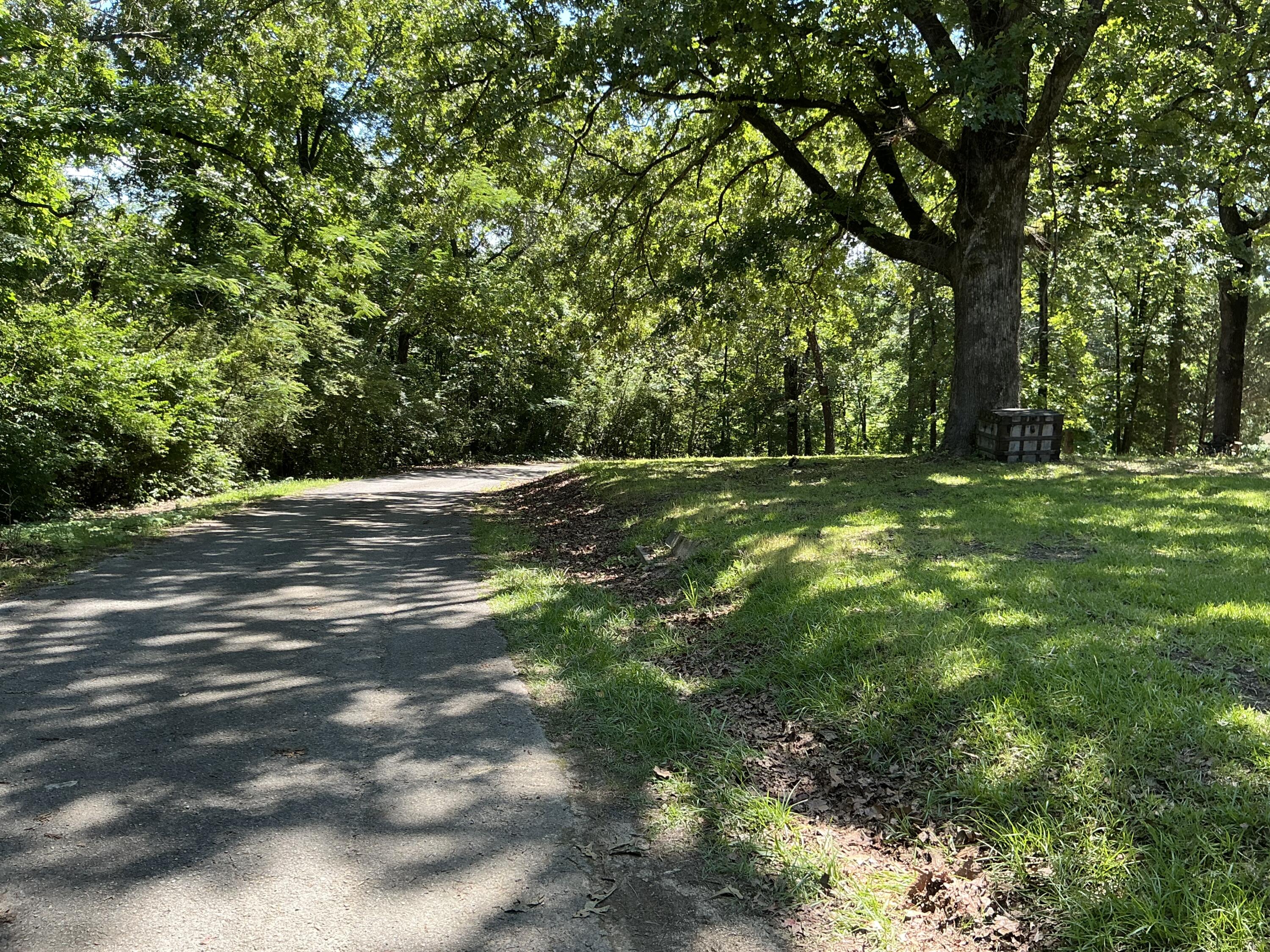 0000 Winding Lane