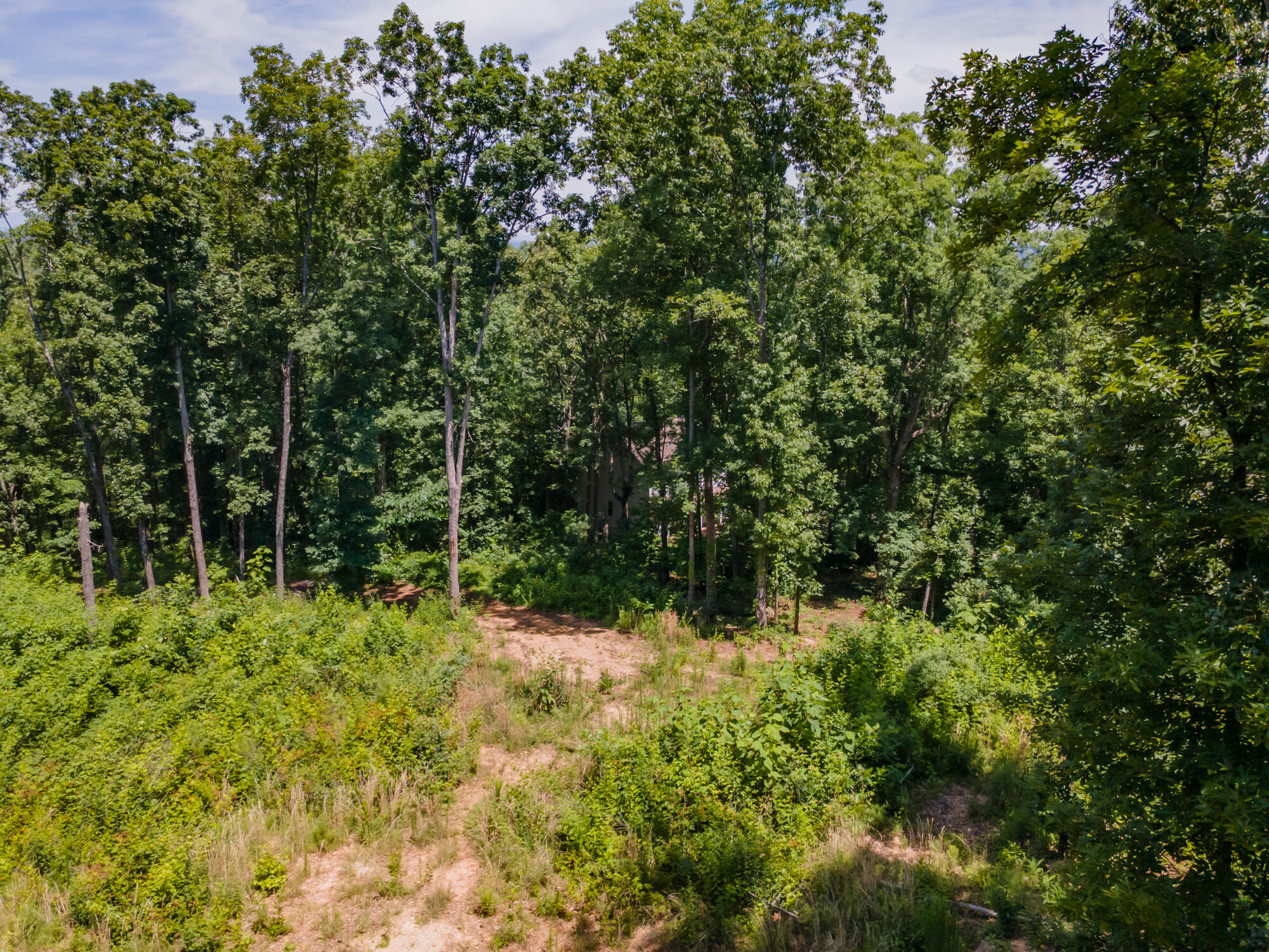 8833 Kelso Lane