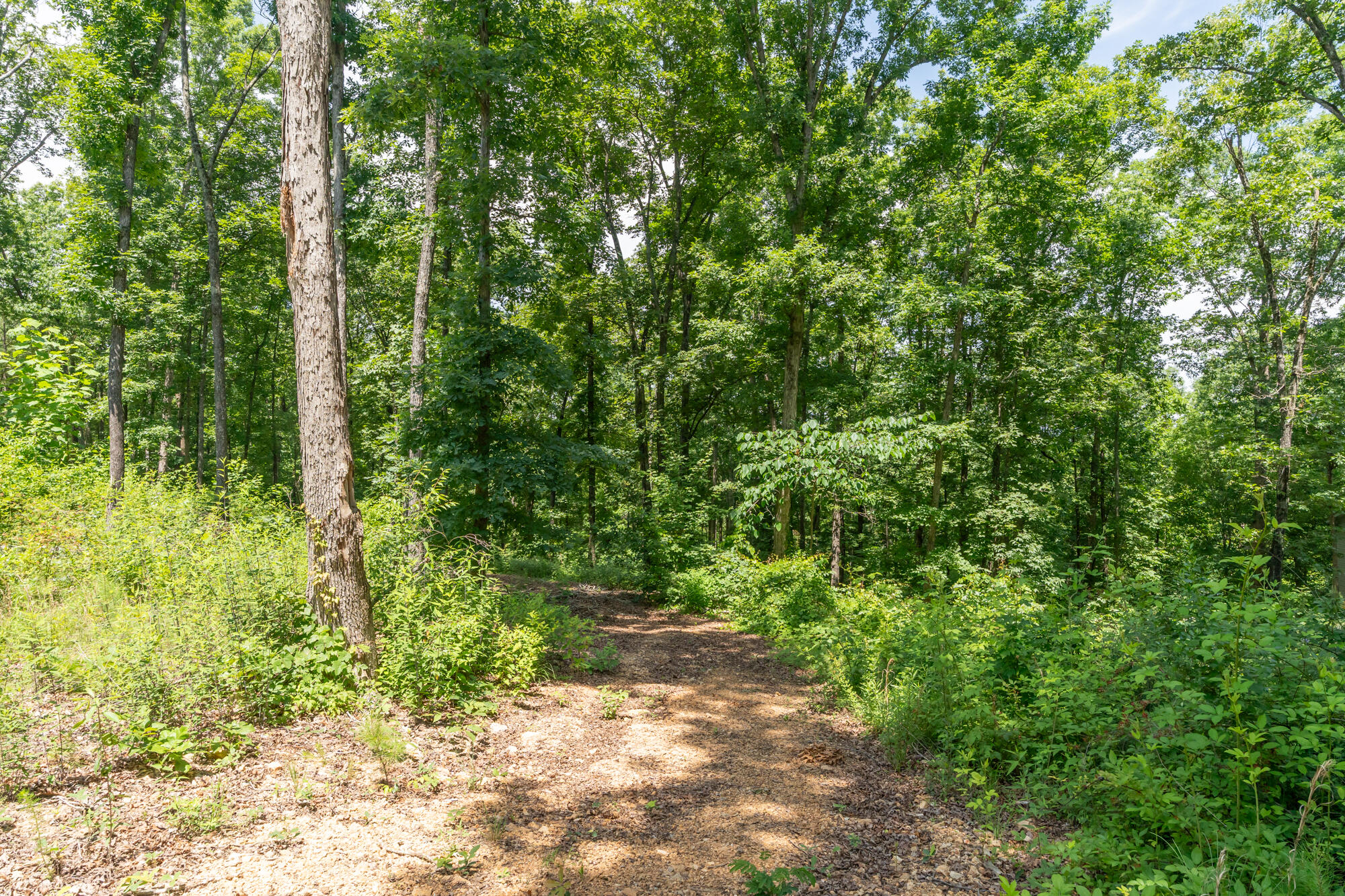 8833 Kelso Lane