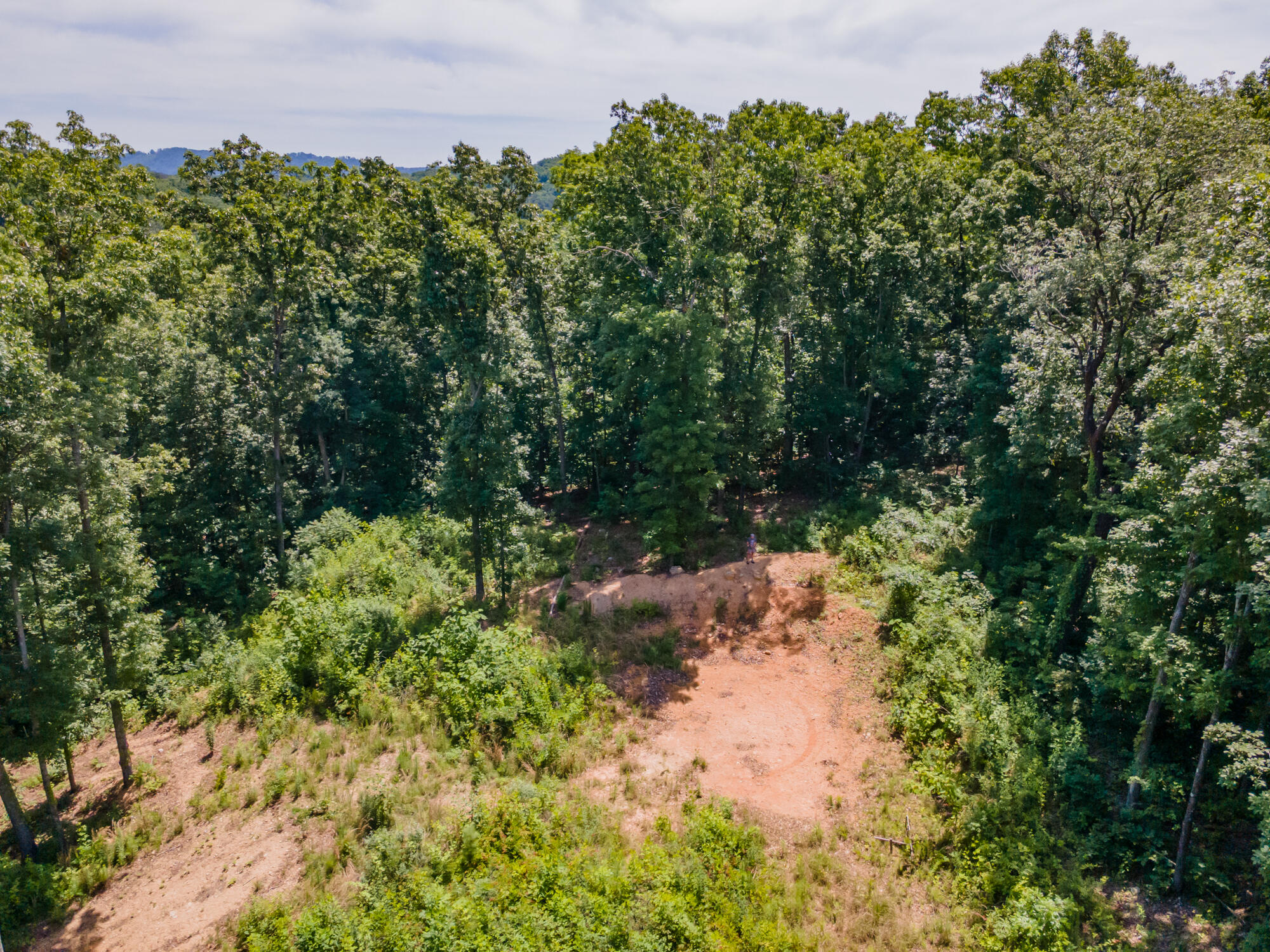 8833 Kelso Lane