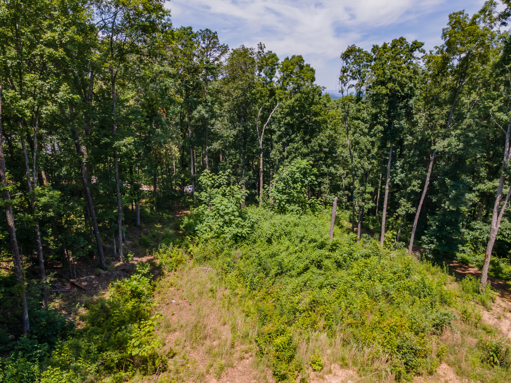 8833 Kelso Lane