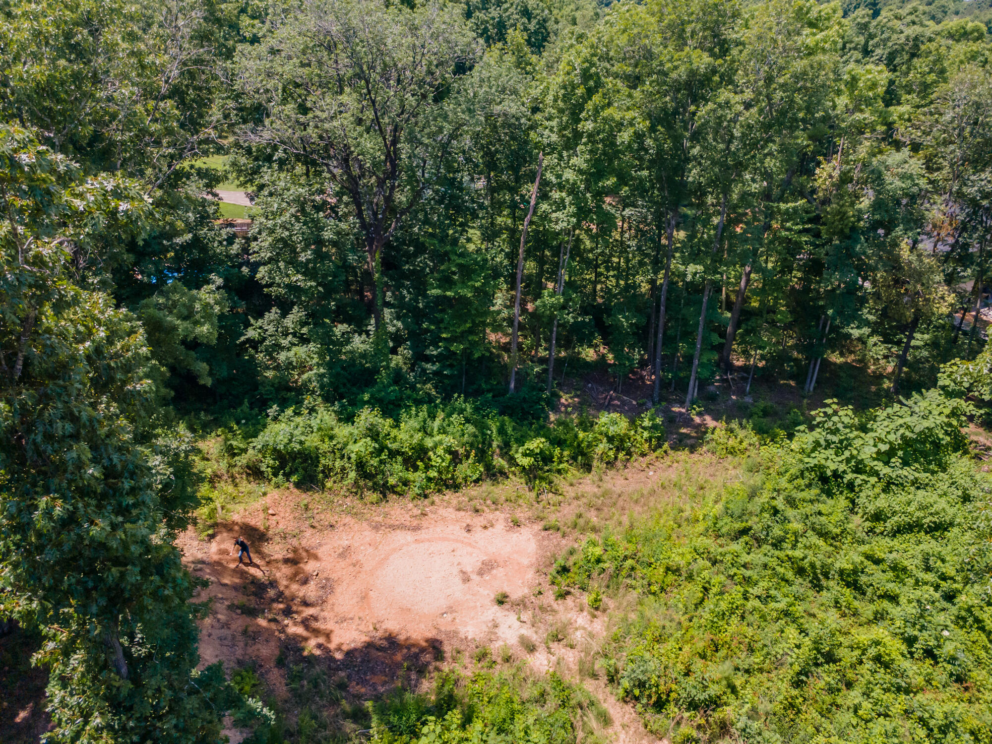 8833 Kelso Lane