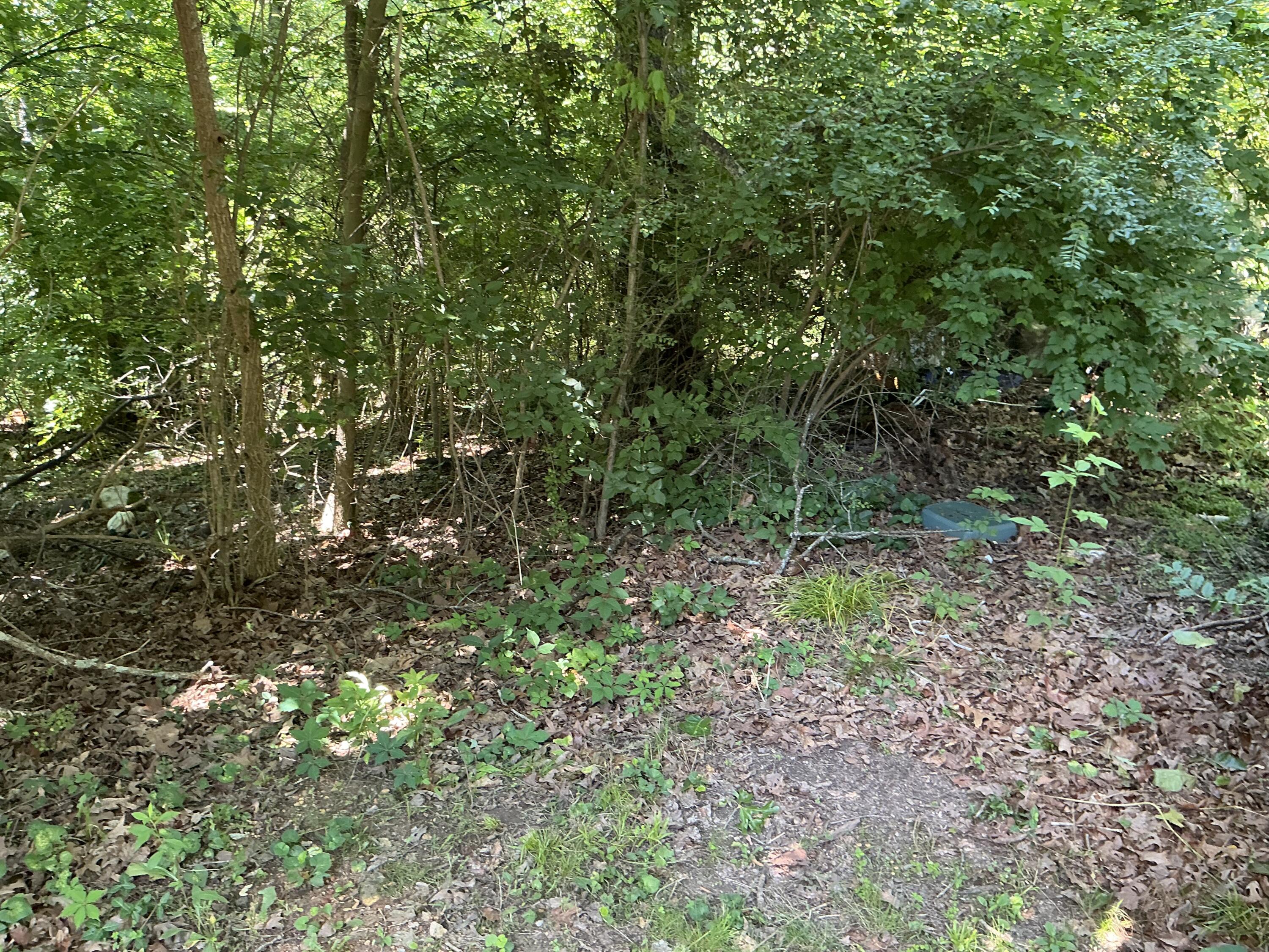 000 Winding Lane