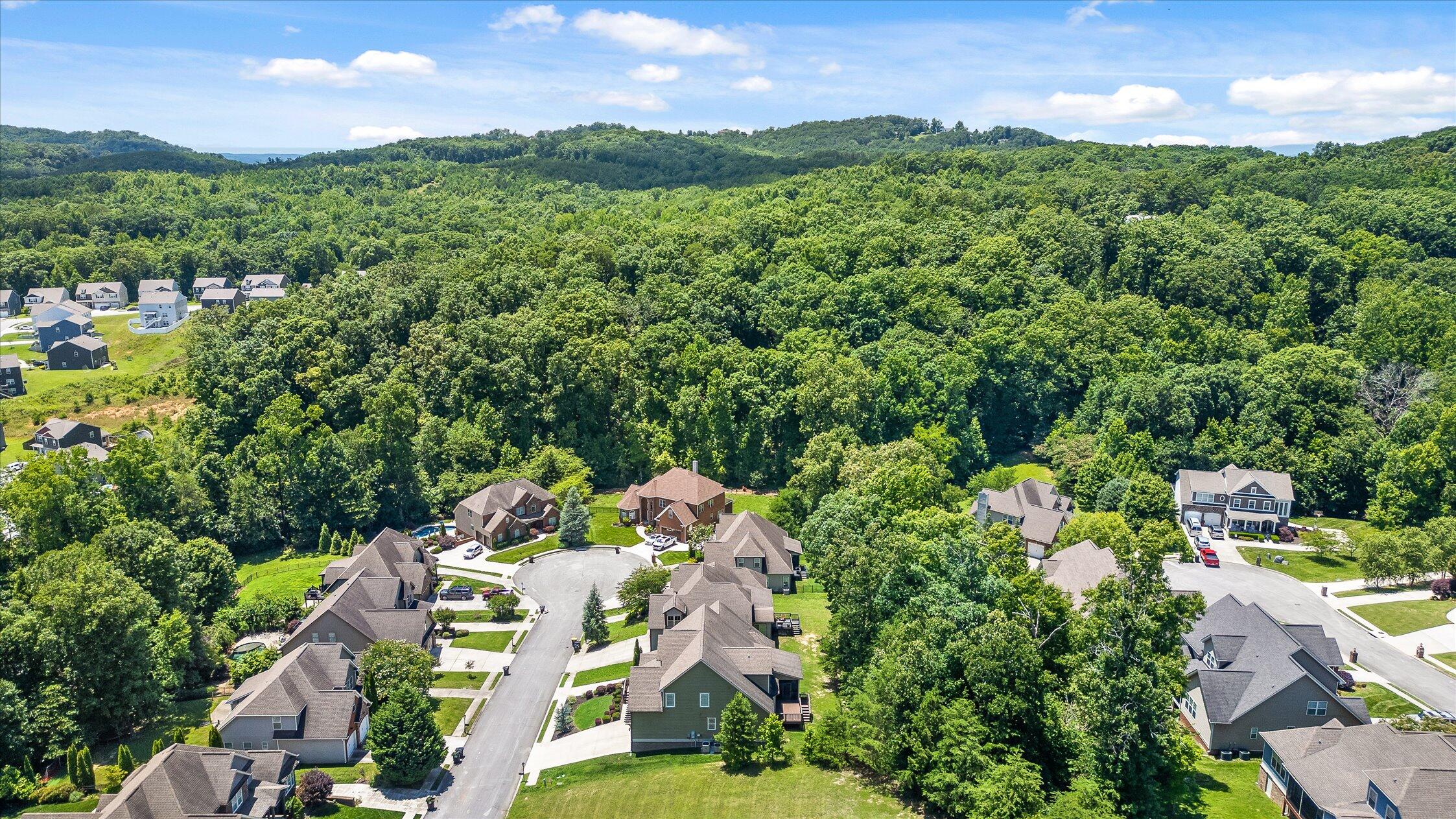 4217 Cripple Bush Court