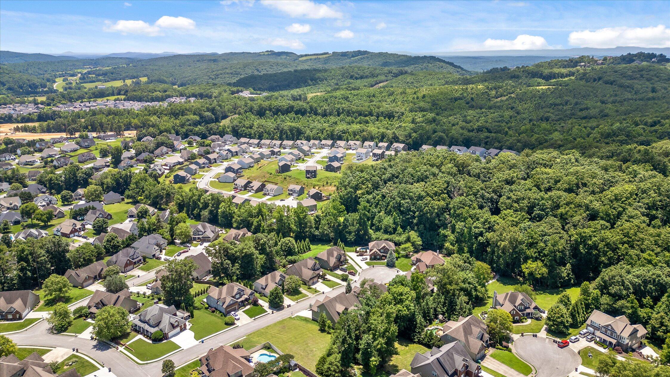 4217 Cripple Bush Court