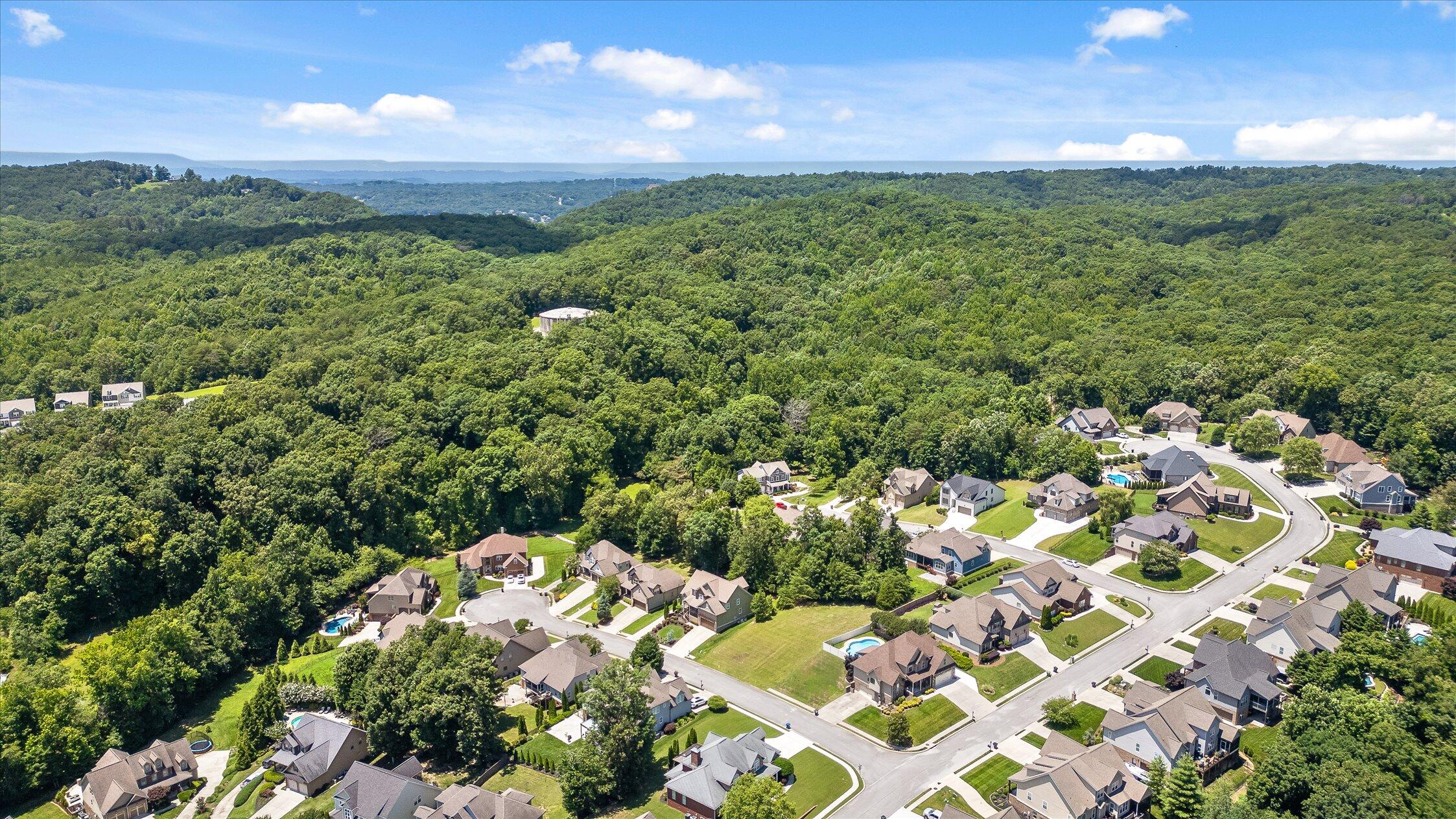 4217 Cripple Bush Court