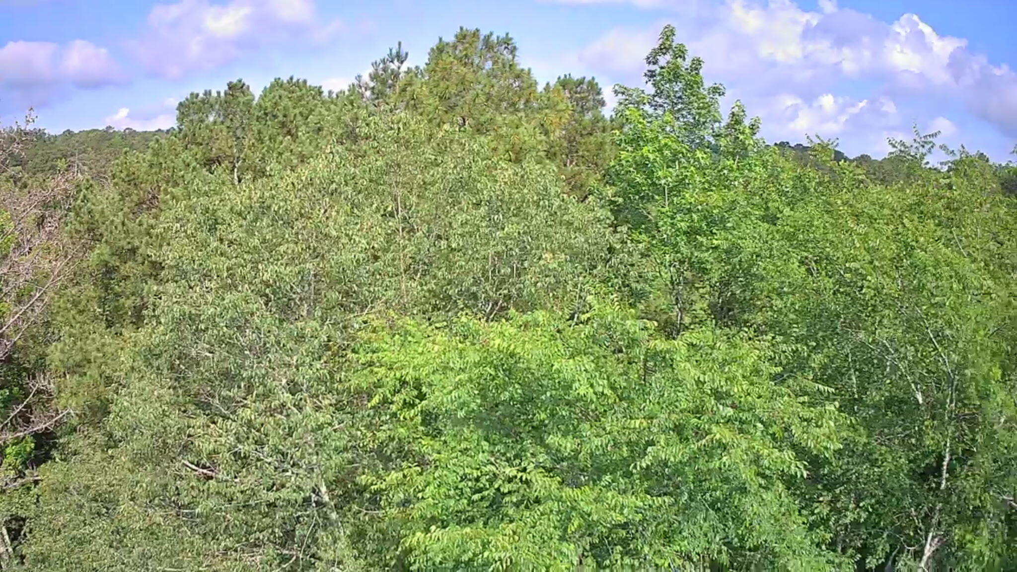 0 N Highway 341, 246