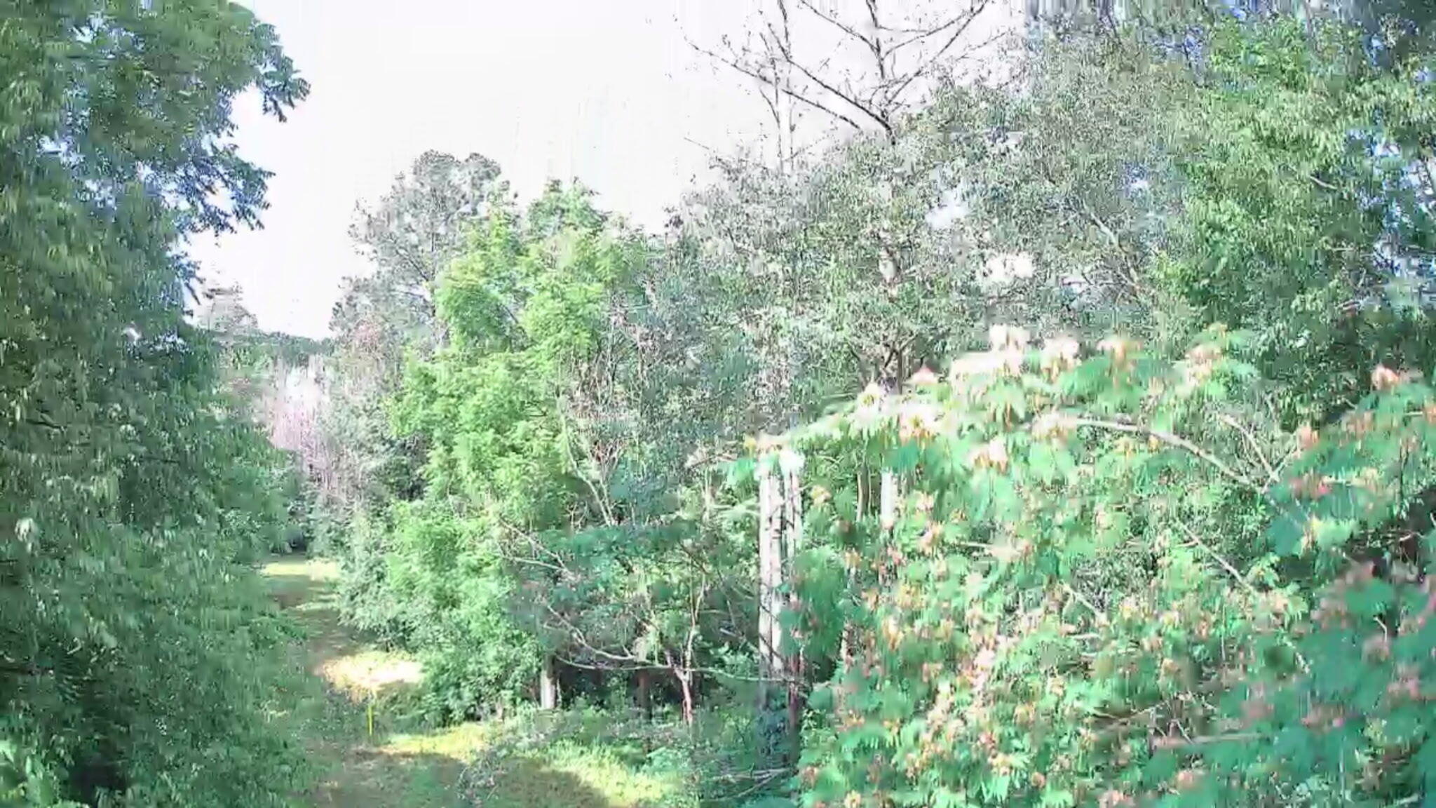 0 N Highway 341, 246