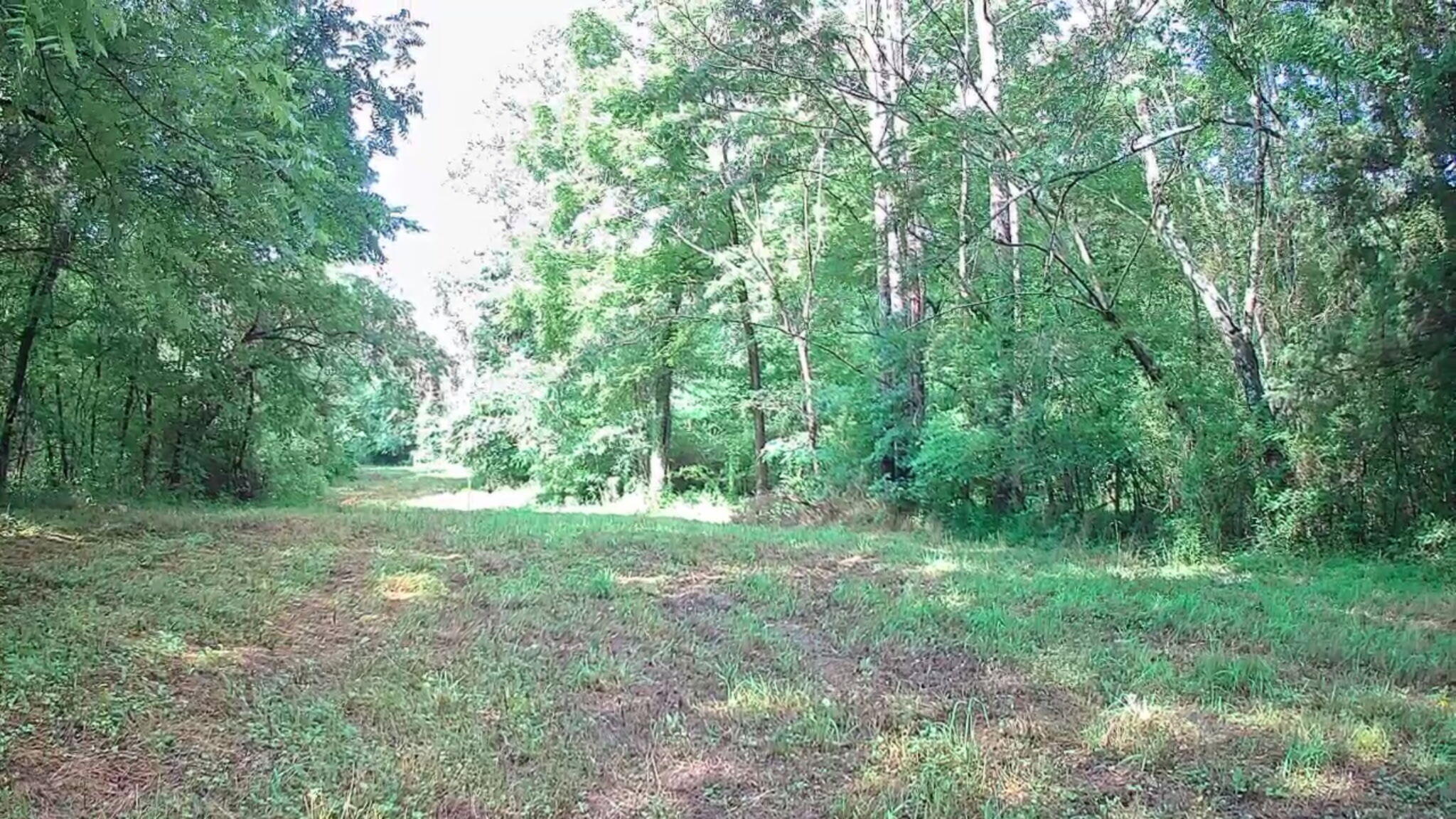 0 N Highway 341, 246