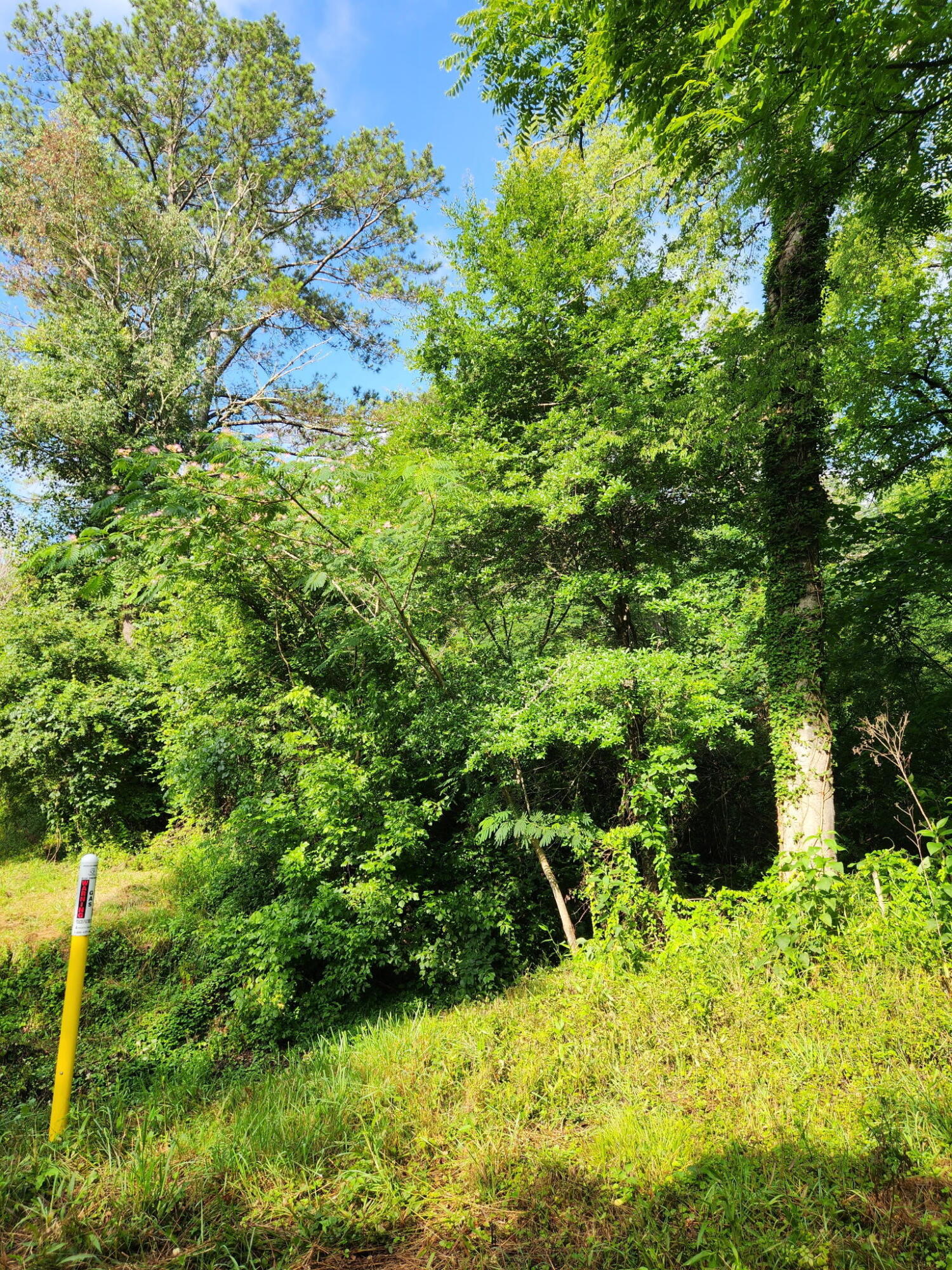0 N Highway 341, 246