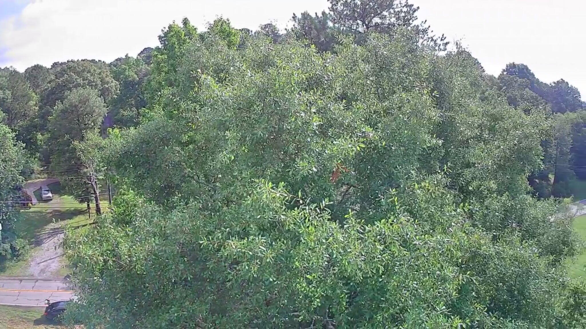 0 N Highway 341, 246