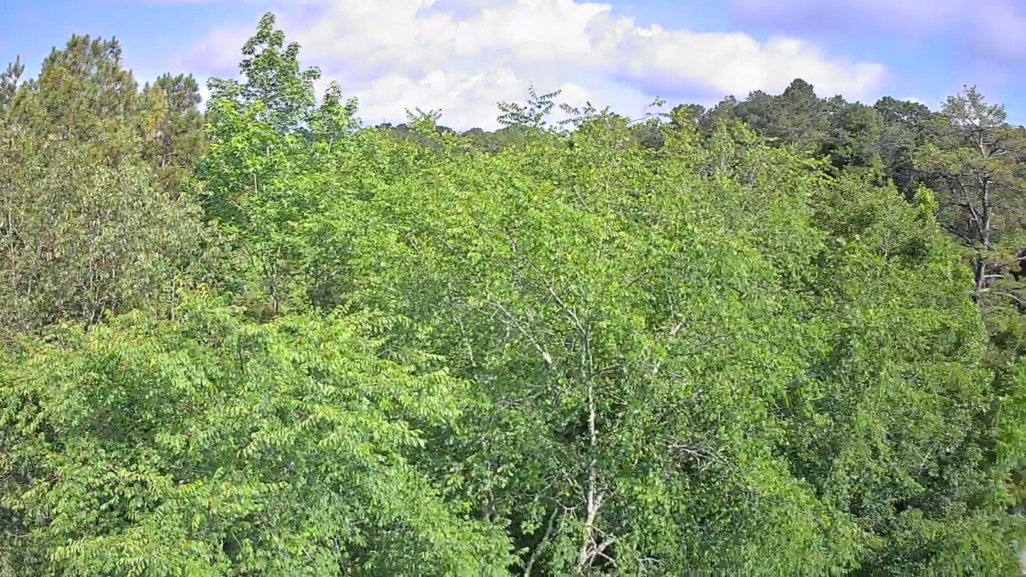 0 N Highway 341, 246