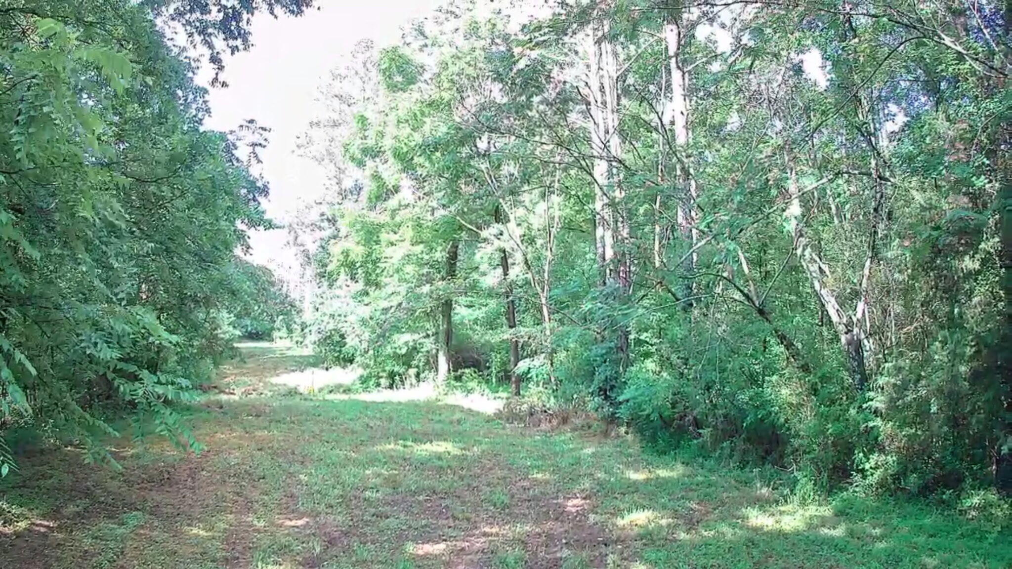 0 N Highway 341, 246