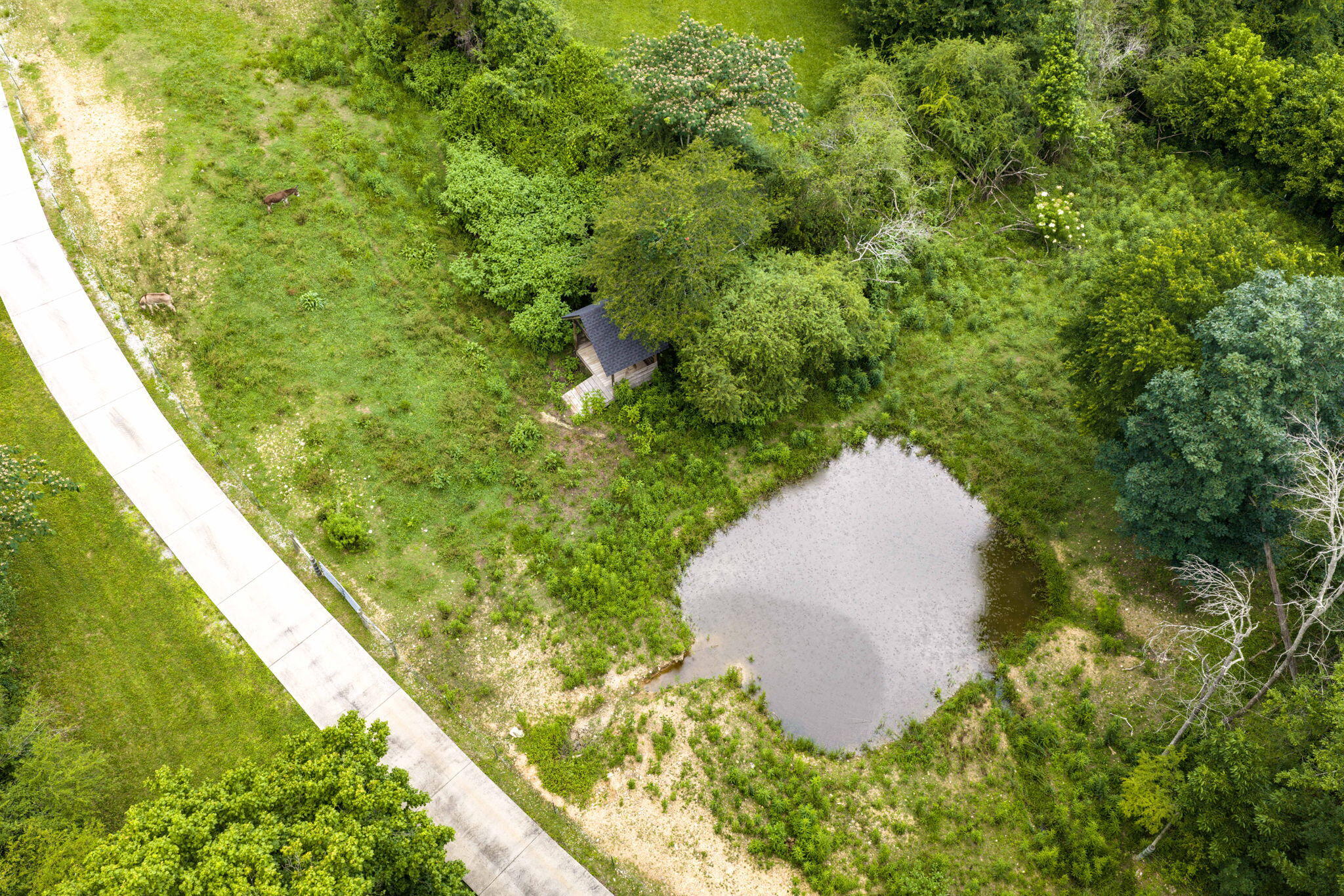 3057 Burning Bush Road