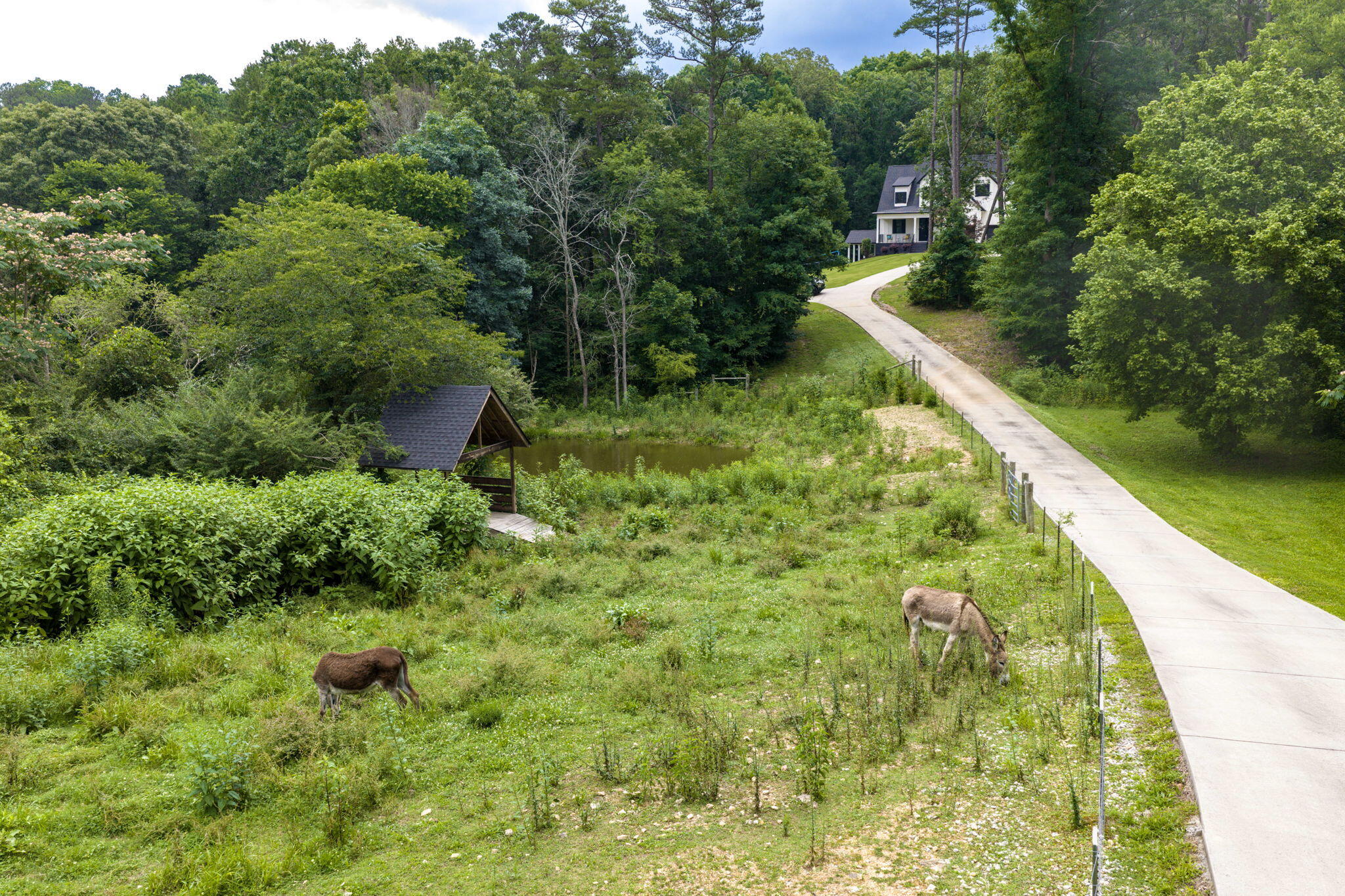 3057 Burning Bush Road