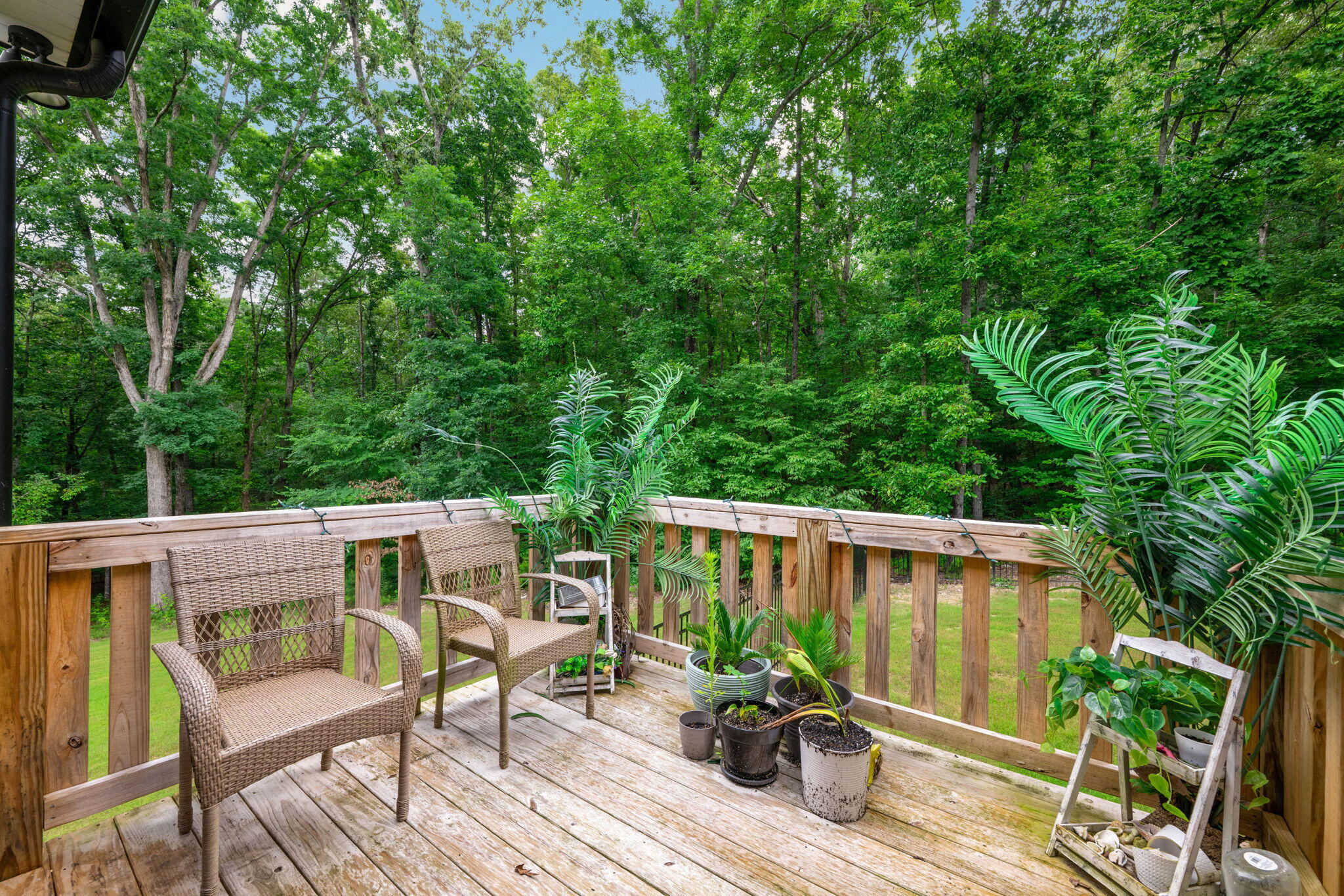 3057 Burning Bush Road